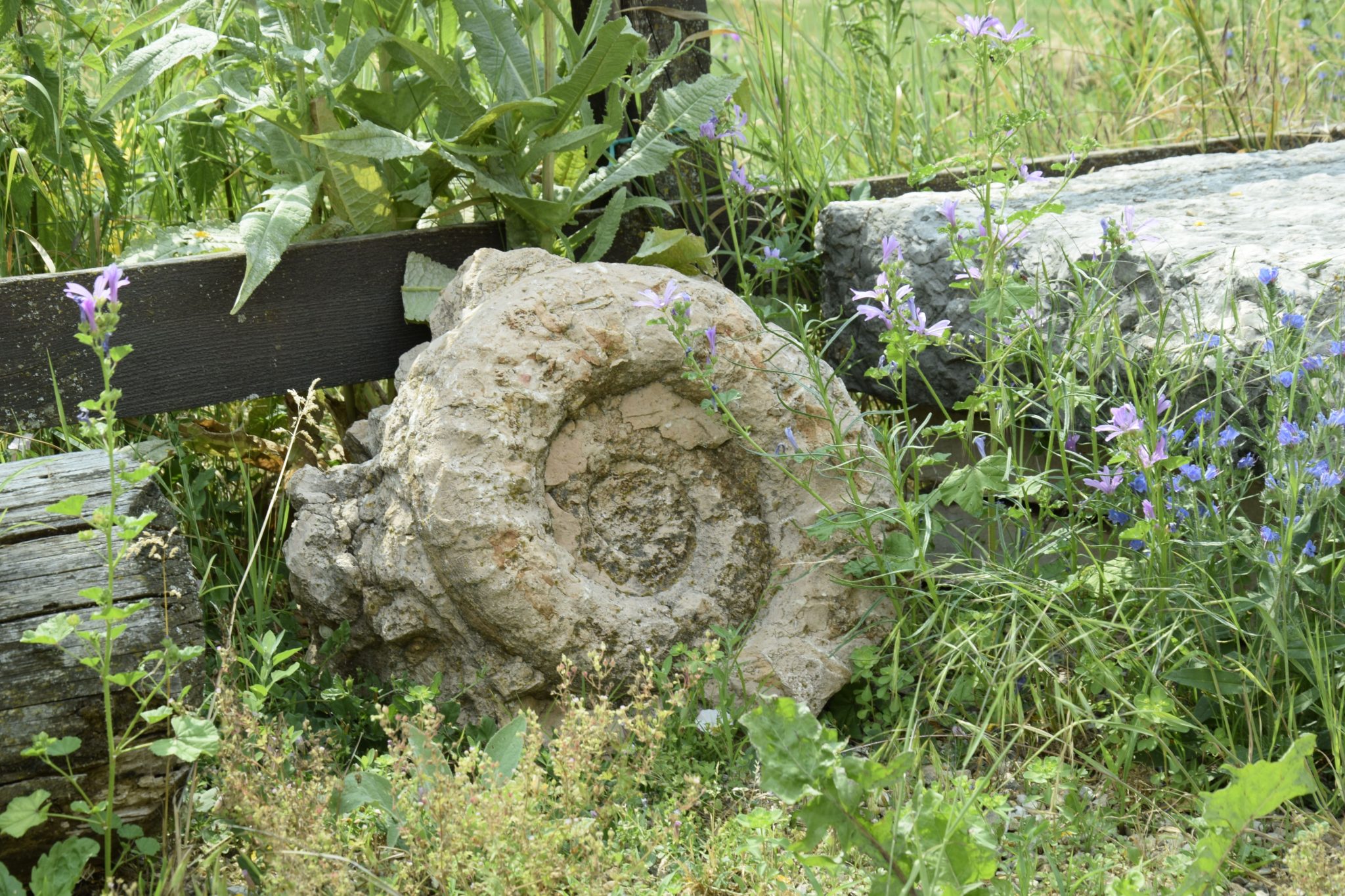 Rustic stone carving with wildflowers and greenery in a lush garden setting.