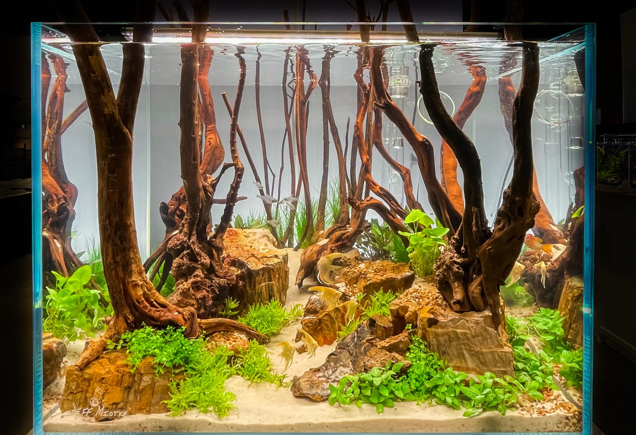 Setting Up a 20- 55 gallon Freshwater Aquarium - The Shopping List and Basics. - Aquarium Connection rimless aquarium small