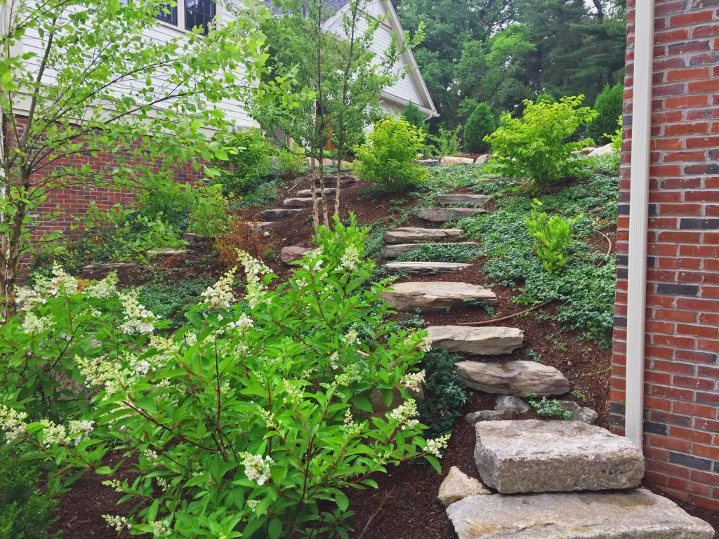 Stepping Stones on a Hill | Artistic Landscapes