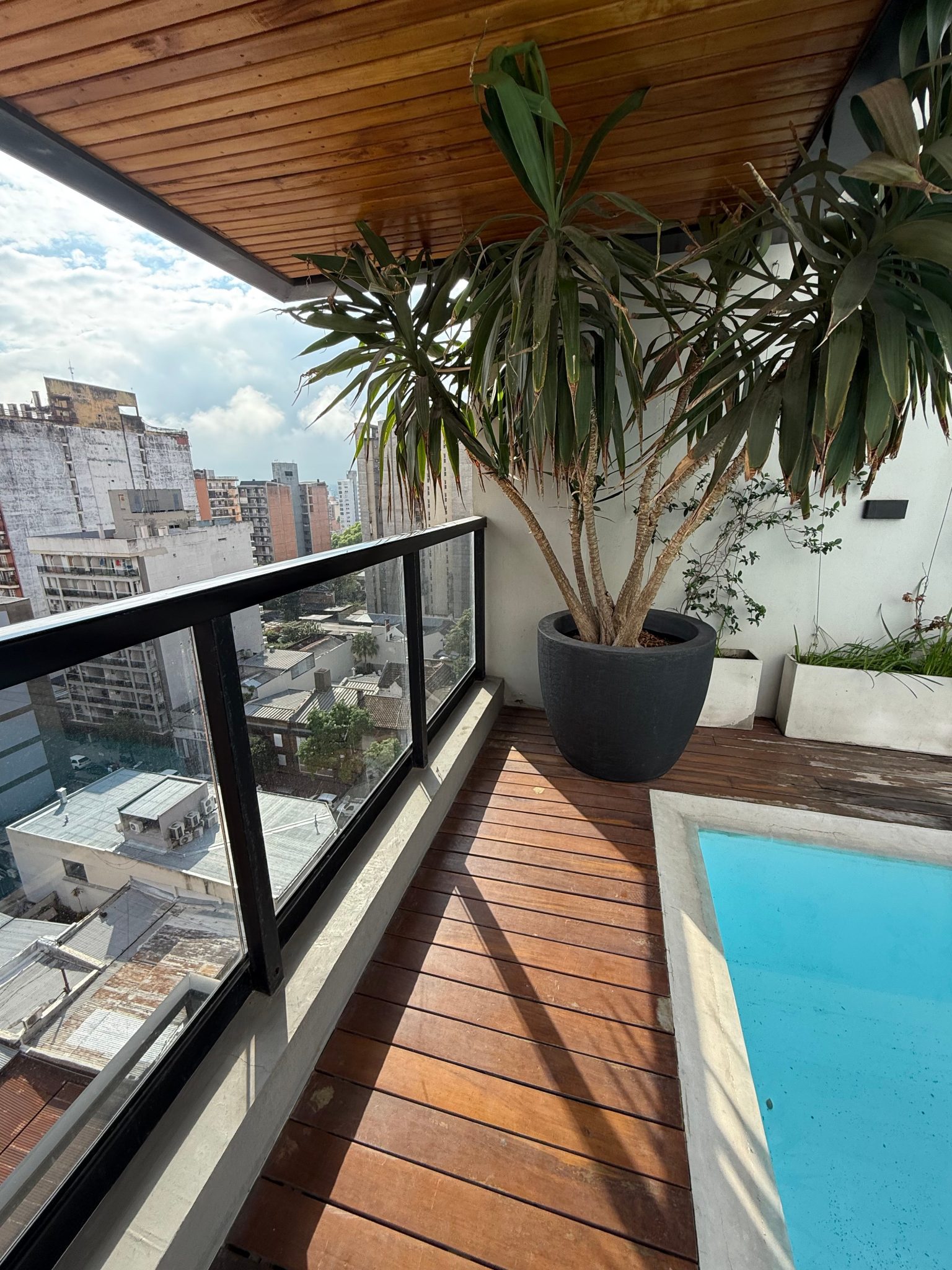 Stylish rooftop with a city view, featuring a pool and potted plant in San Miguel de Tucumán, Argentina.
