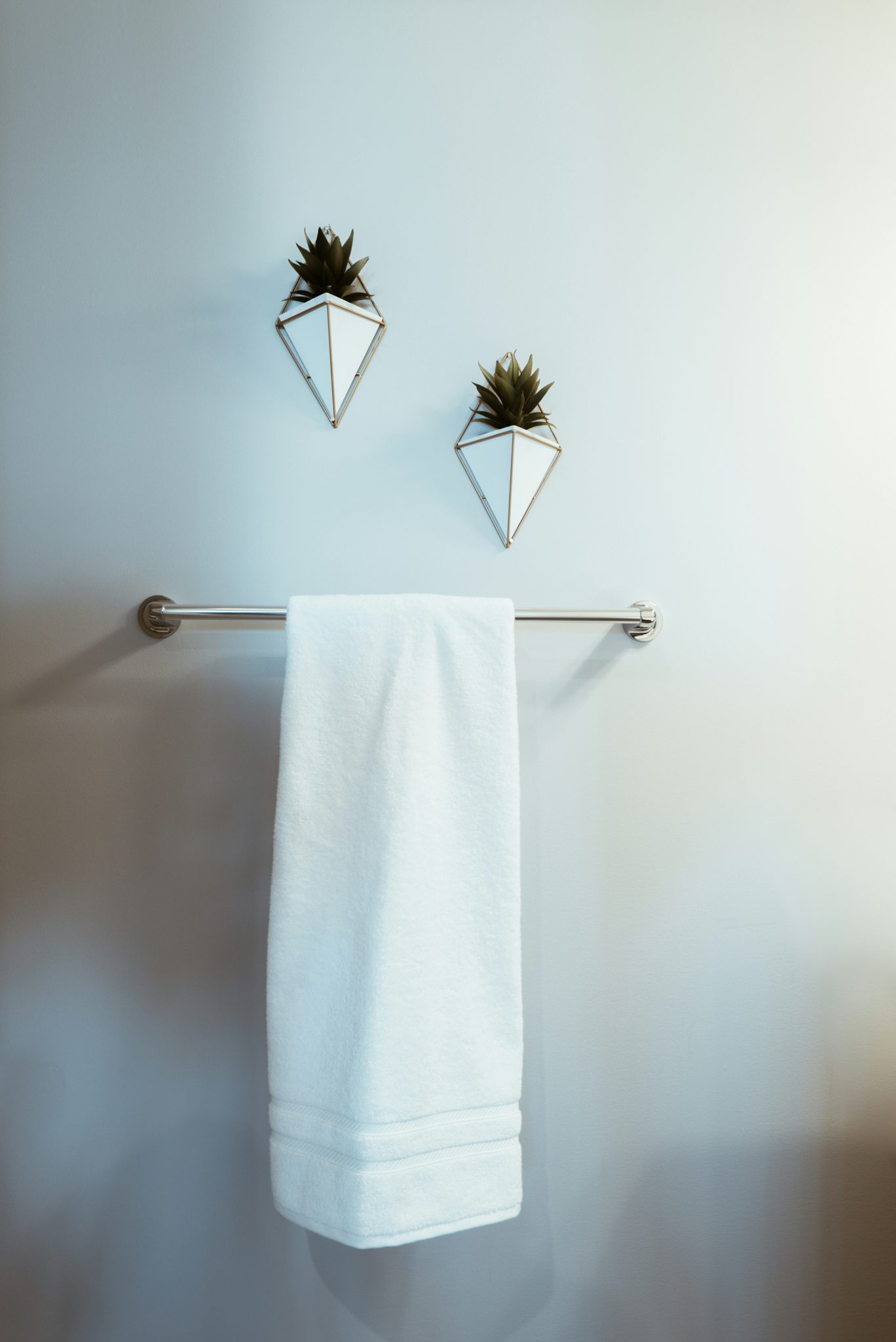 The bathroom wall of a house I shot recently