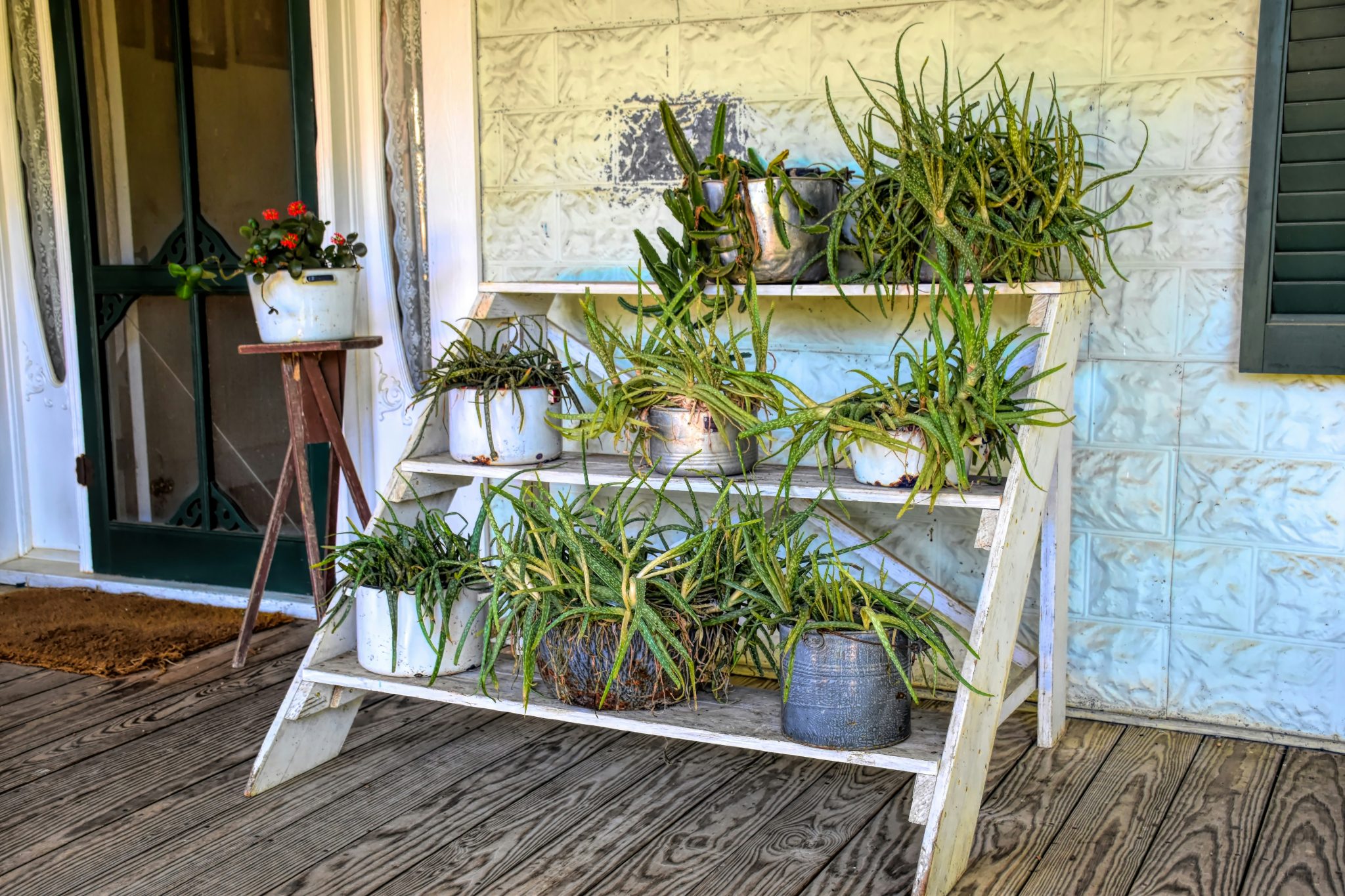 Traditional old-fashion southern home showing the home's front porch with several plants and flowers. 