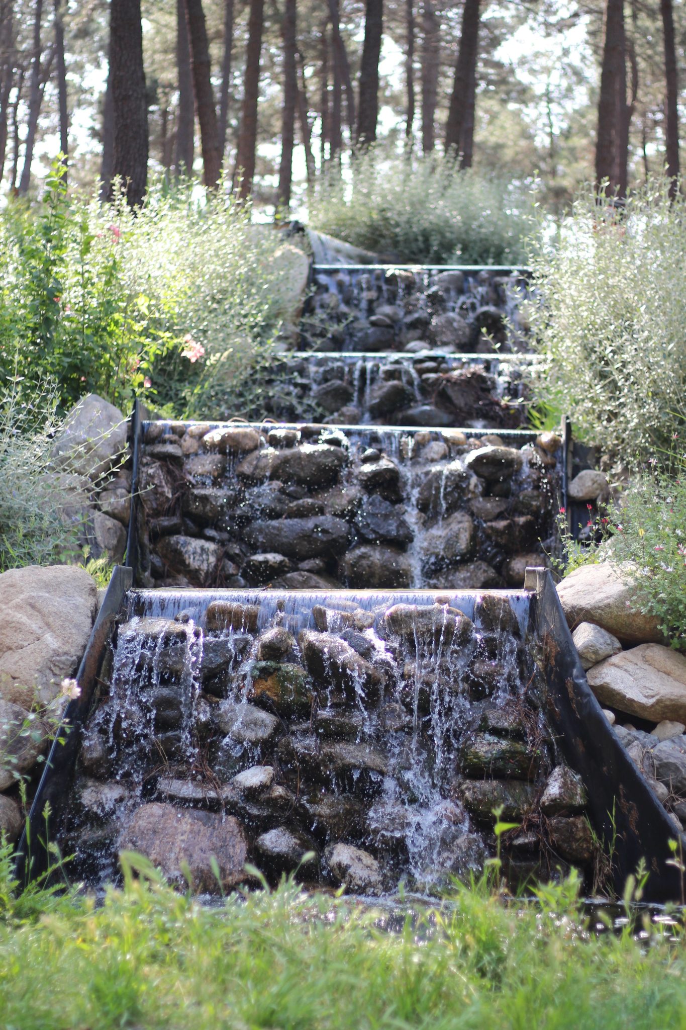 Tranquil cascading waterfall in a lush forest garden, perfect for relaxation themes.