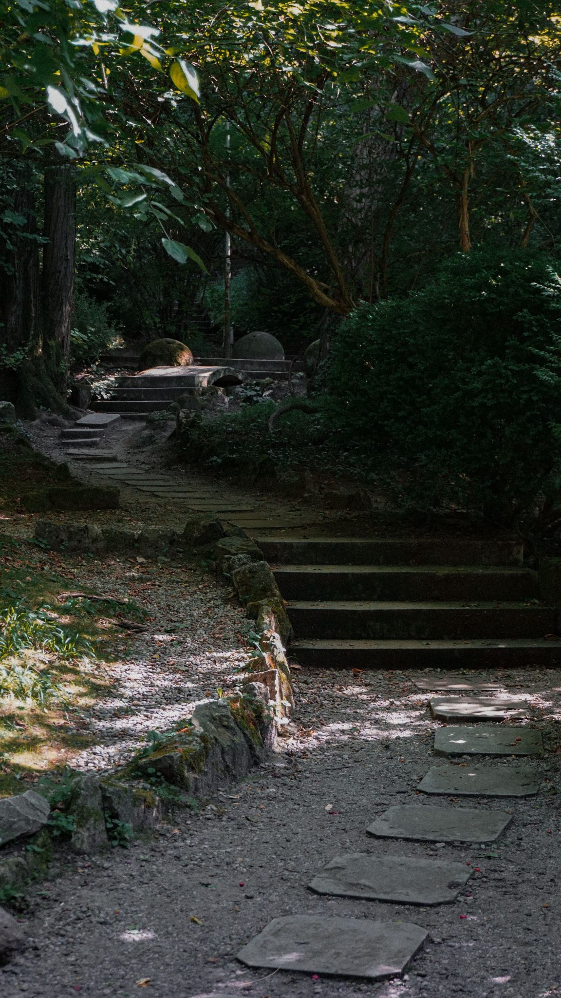 Tranquil forest path with stone steps, located in Cluj-Napoca, Romania.