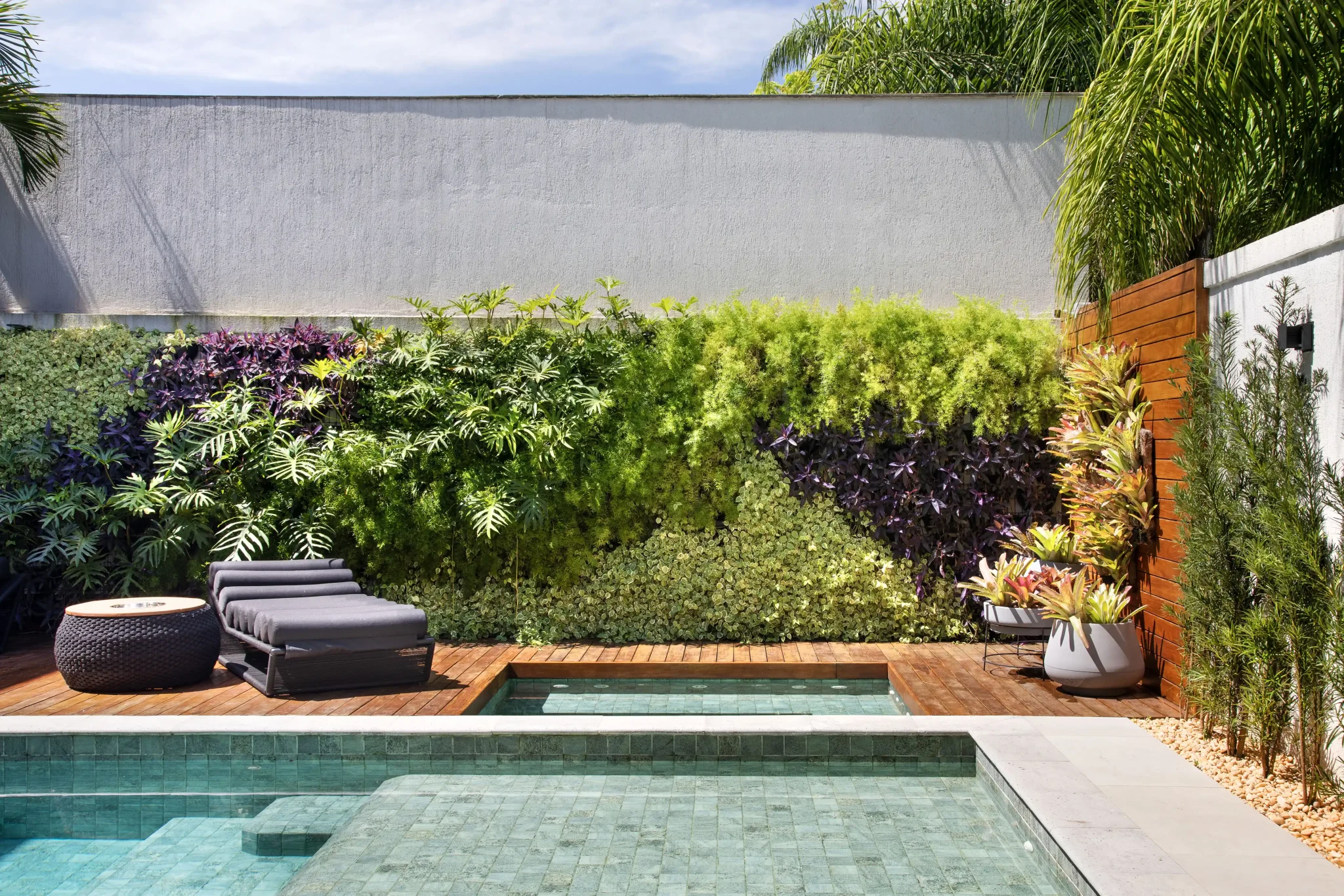 Tropical garden brings a mix of foliage, textures and vegetation