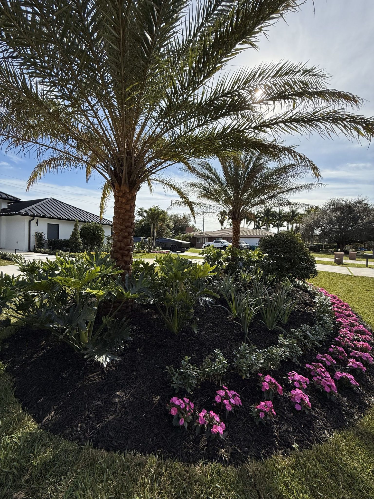 Tropical Garden Design Ideas for South Florida Yards