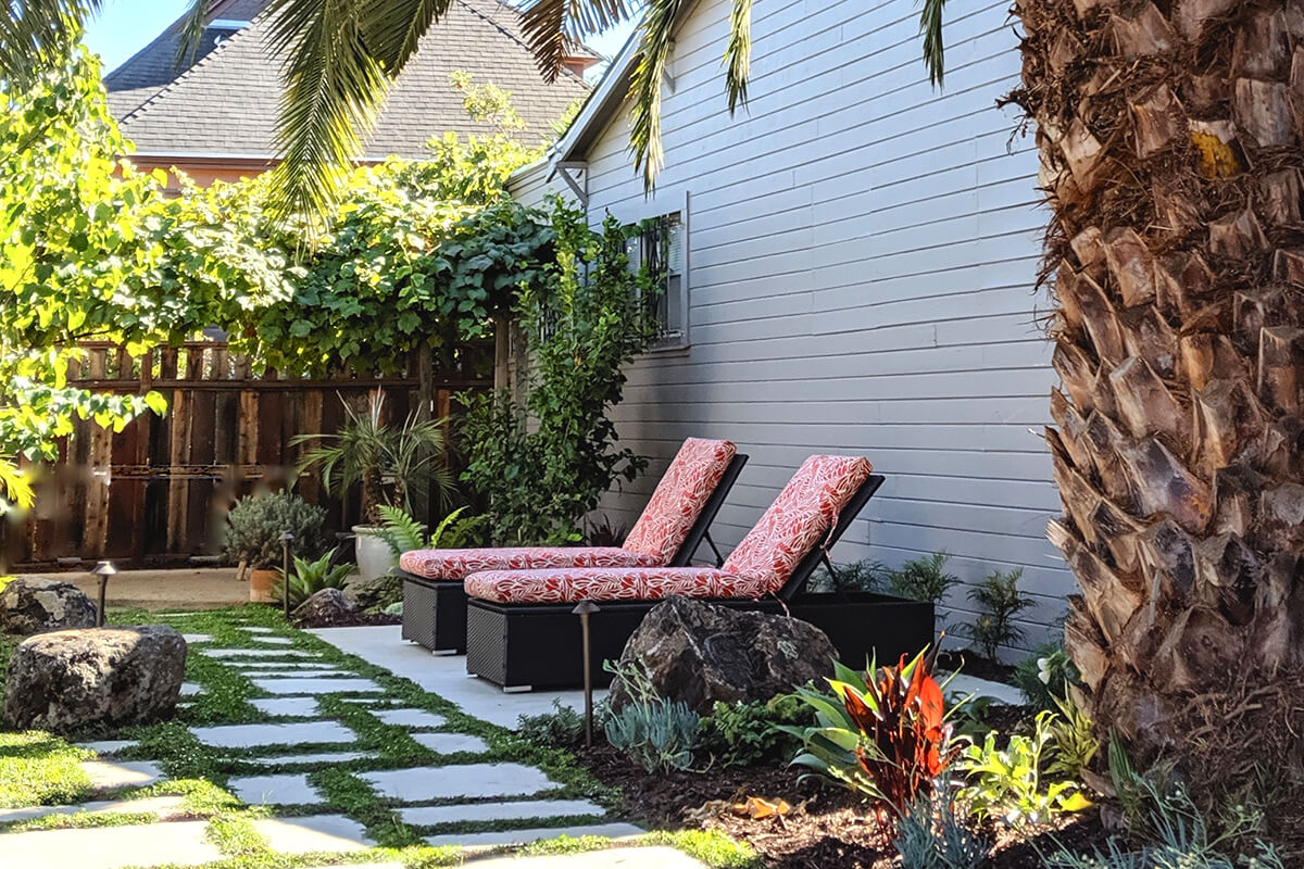 Tropical Hideaway - Sarah Herman Landscape Design