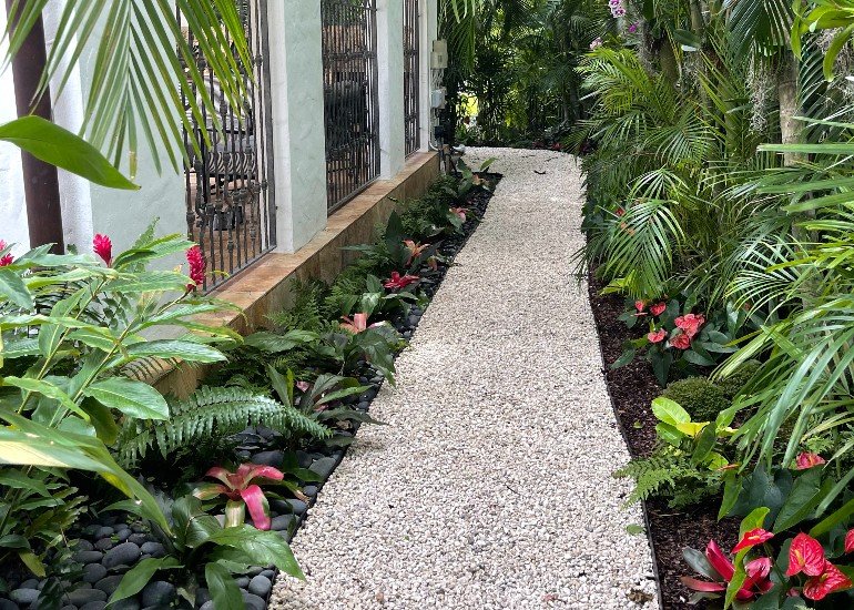 Tropical landscapes: Transform your Miami yard into paradise