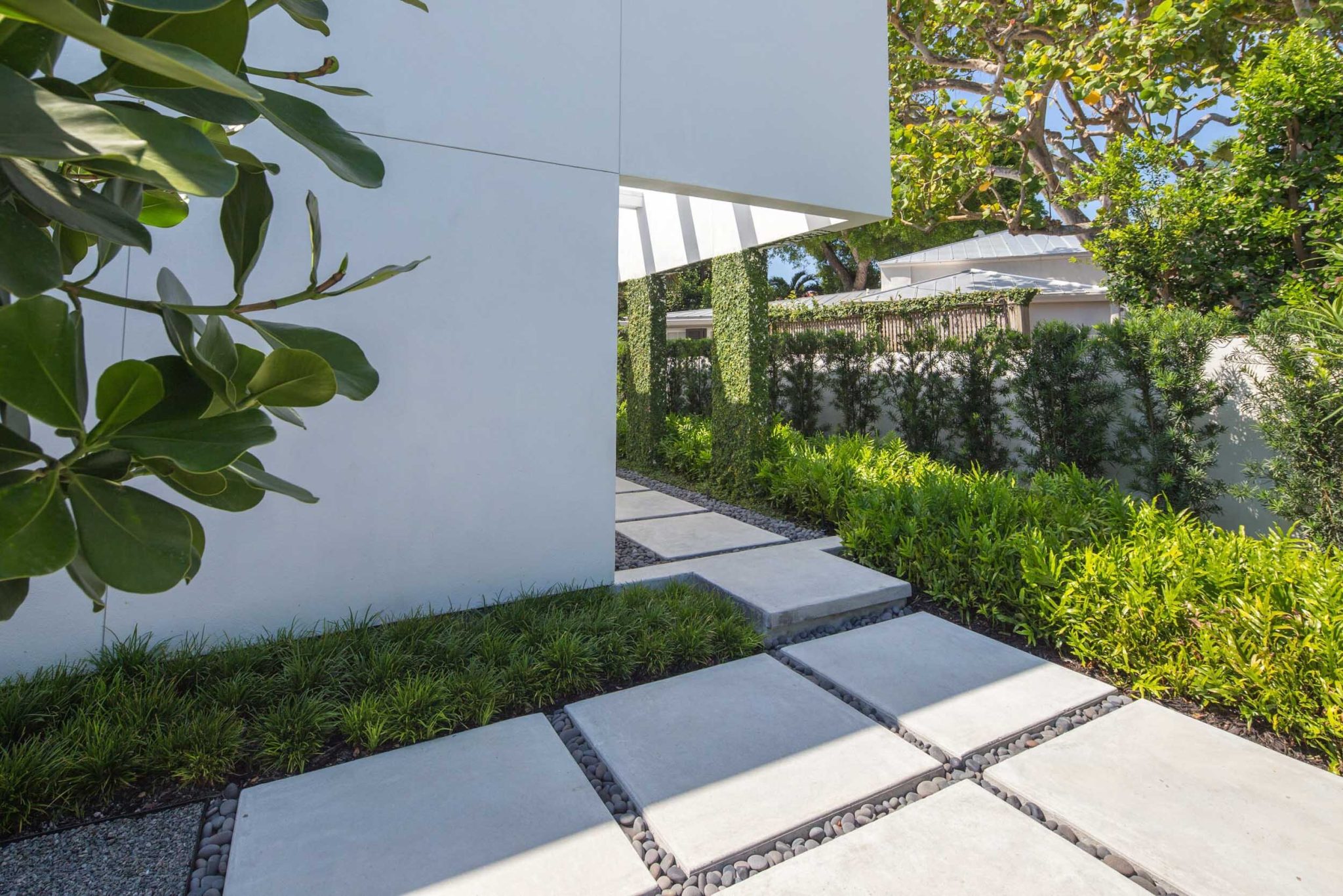 Tropical Minimal — Craig Reynolds Landscape Architects