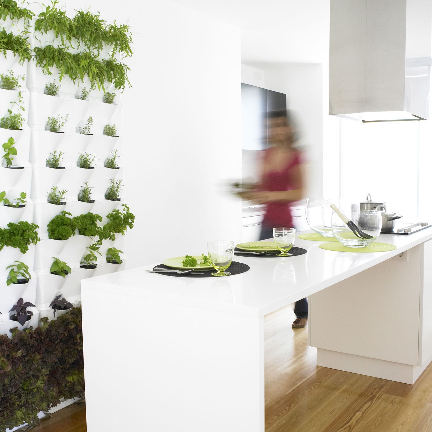 Vertical garden with live plants - MINIGARDEN KITCHEN GARDEN - Minigarden (Quizcamp SA) - modular-panel / indoor / outdoor
