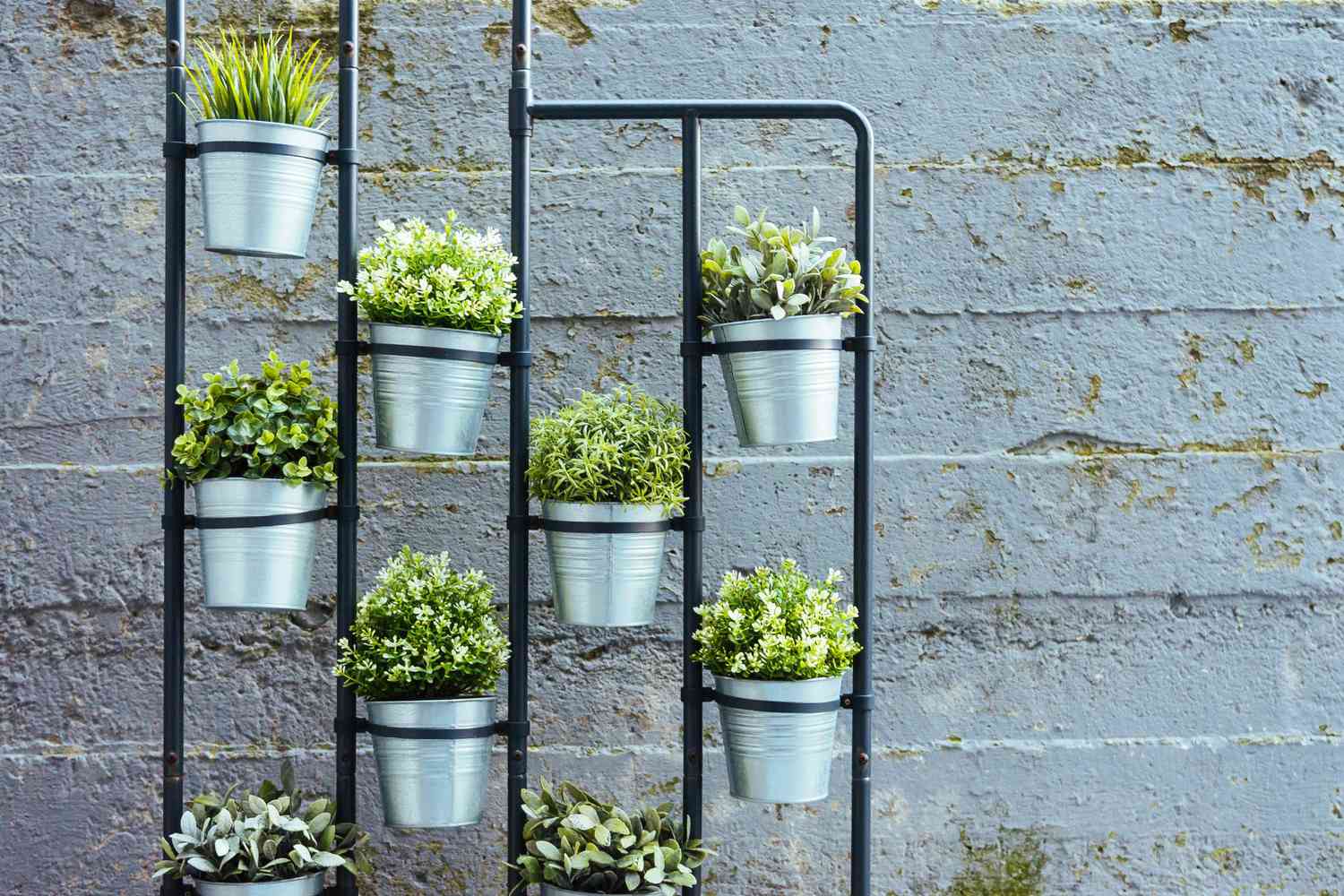Vertical Gardens: How to Do It and Ideas to Get You Started