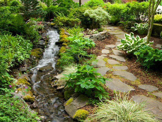 Water Feature Ideas to Transform Your Outdoor Space | Garden Design