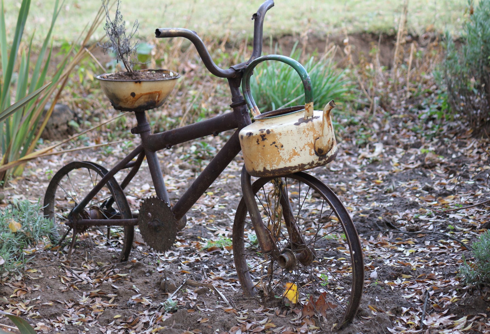 Weathered bike converted into a unique garden planter with rustic pots, creating a vintage outdoor decoration.