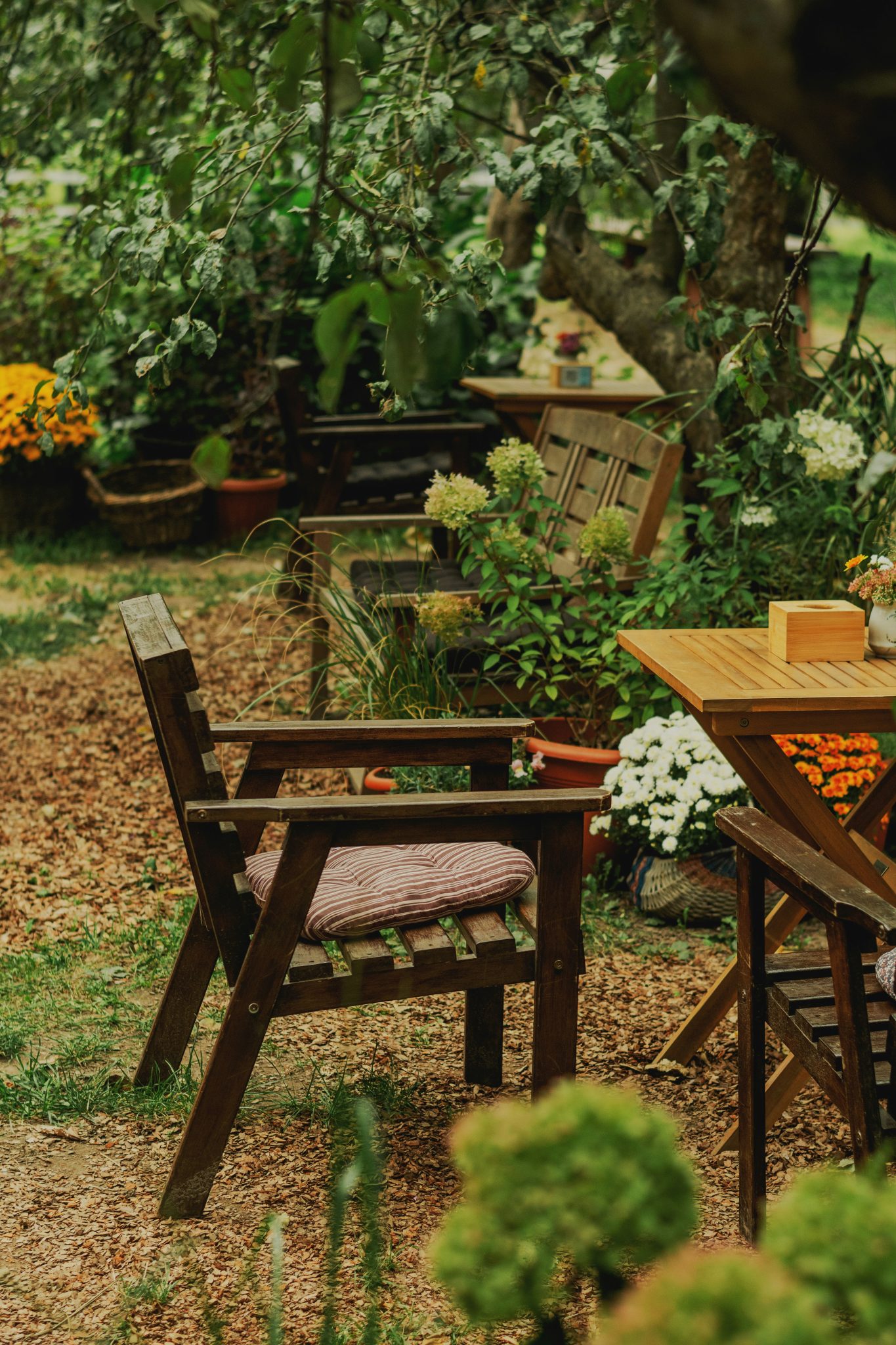 Wooden chairs and table in a lush garden setting.