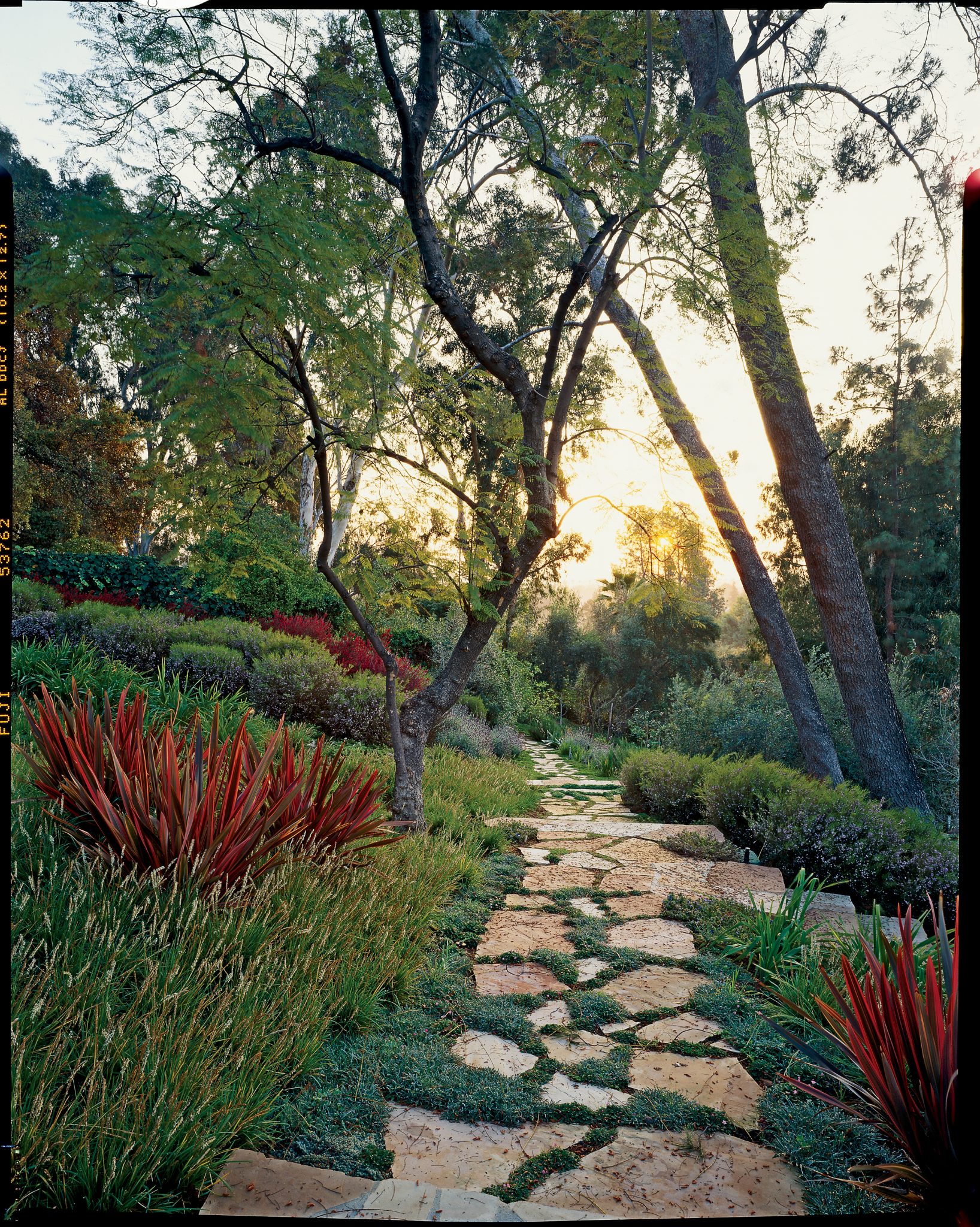 You'll Be Inspired By These Creative and Inviting Garden Paths - Sunset – Sunset Magazine