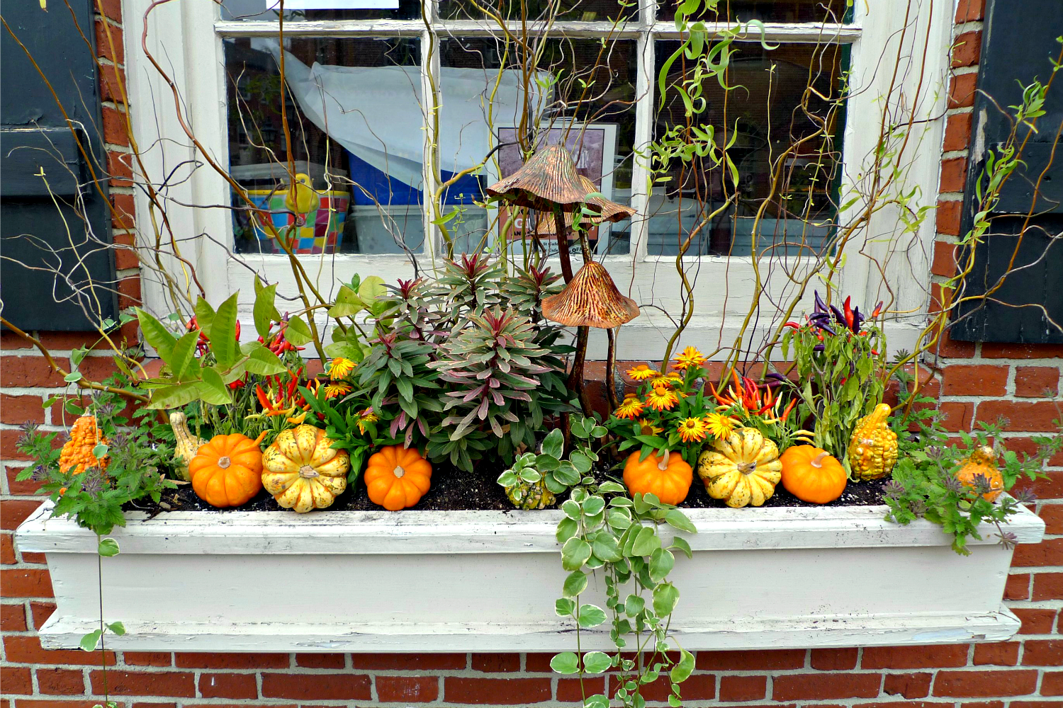16 Fall Window Boxes to Create a Stunning Display