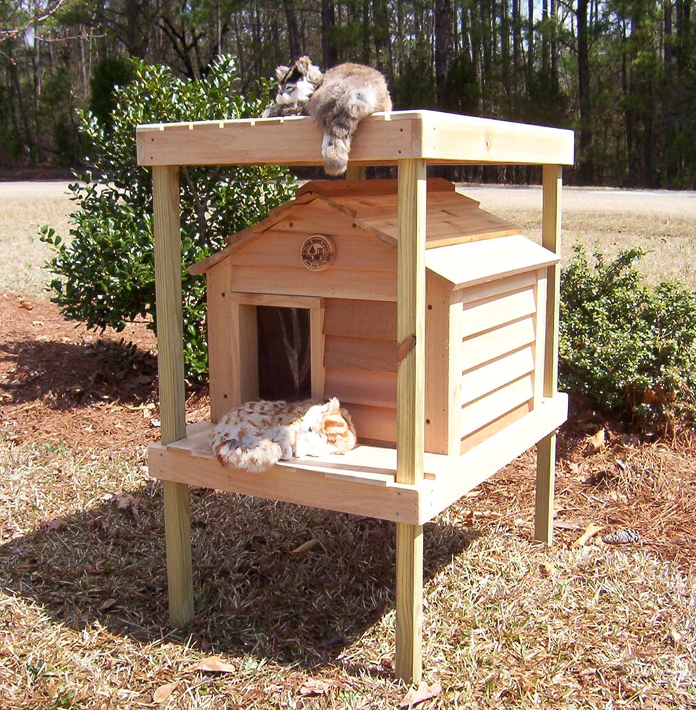 20” Cat House with Platform and Loft
