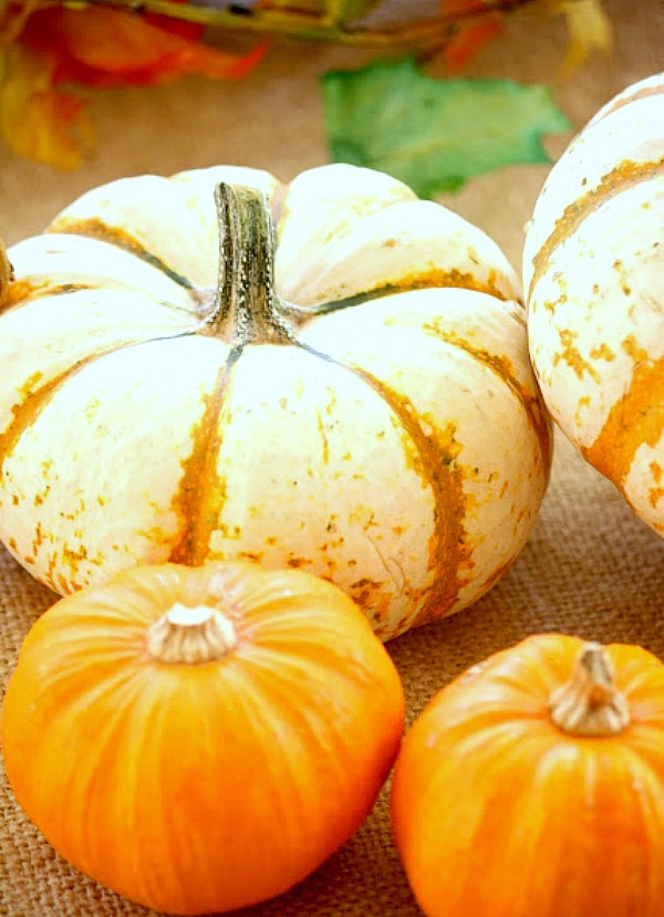 3 Ways to Creatively use mini pumpkins this fall - Duke Manor Farm by Laura Janning