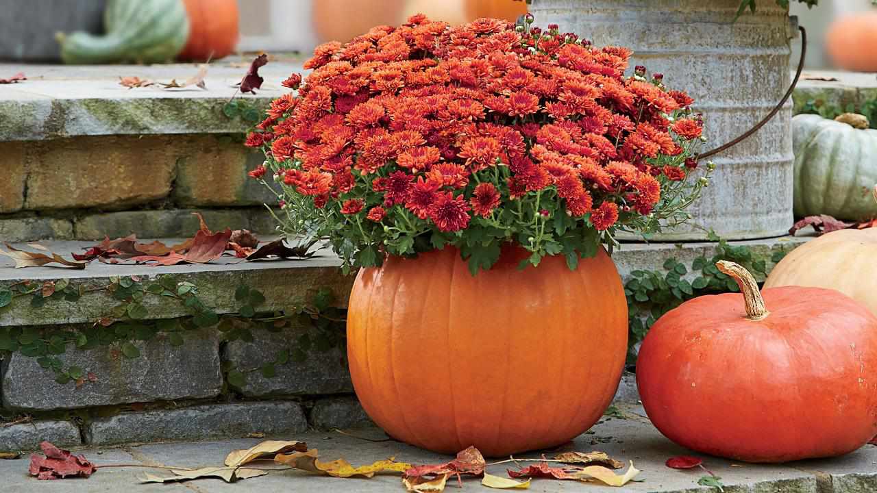 30 Fall Flowers And Container Ideas For A Gorgeous Autumn Garden