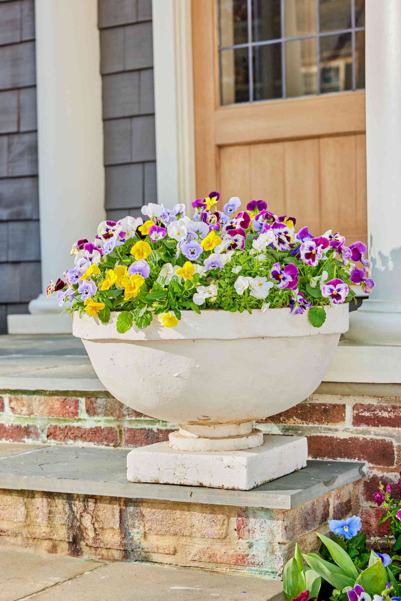 37 Front Door Container Garden Ideas That Make A Big First Impression