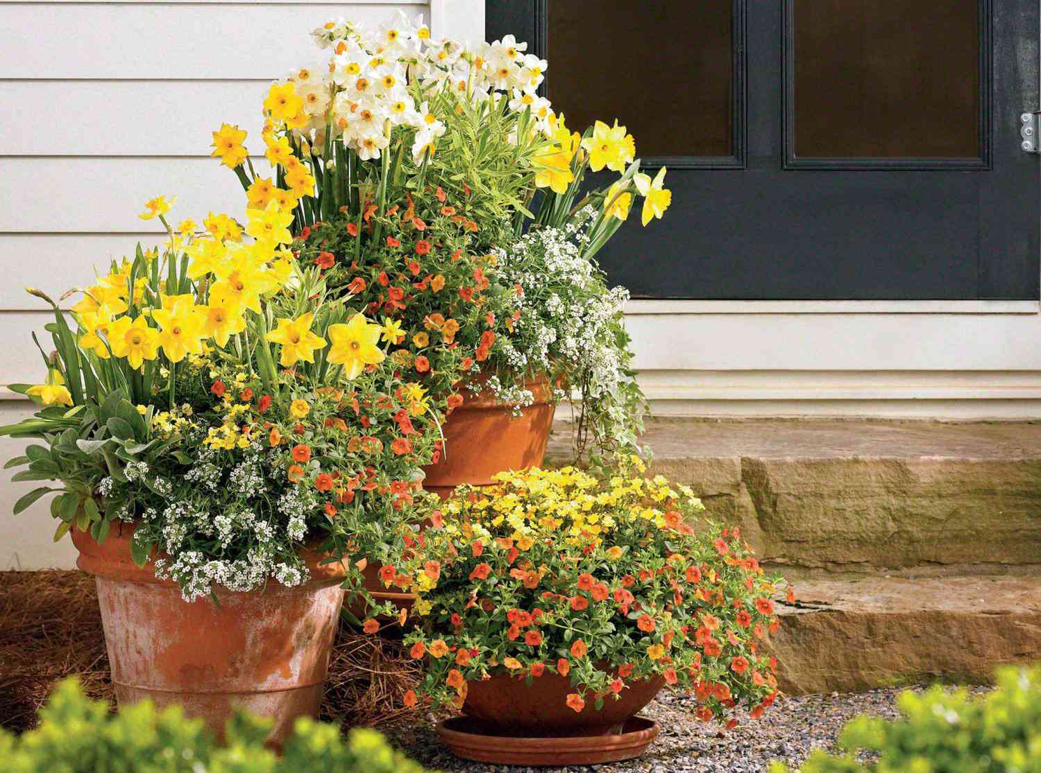 37 Front Door Container Garden Ideas That Make A Big First Impression