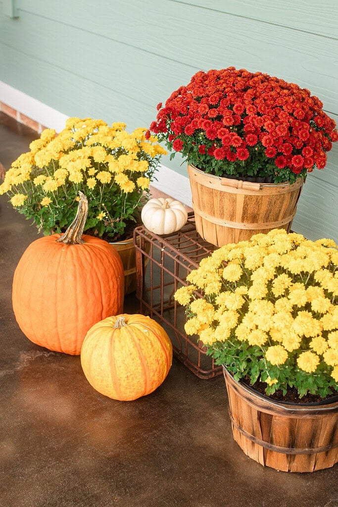 7 Decor Ideas for a Cozy Cottage Fall Porch