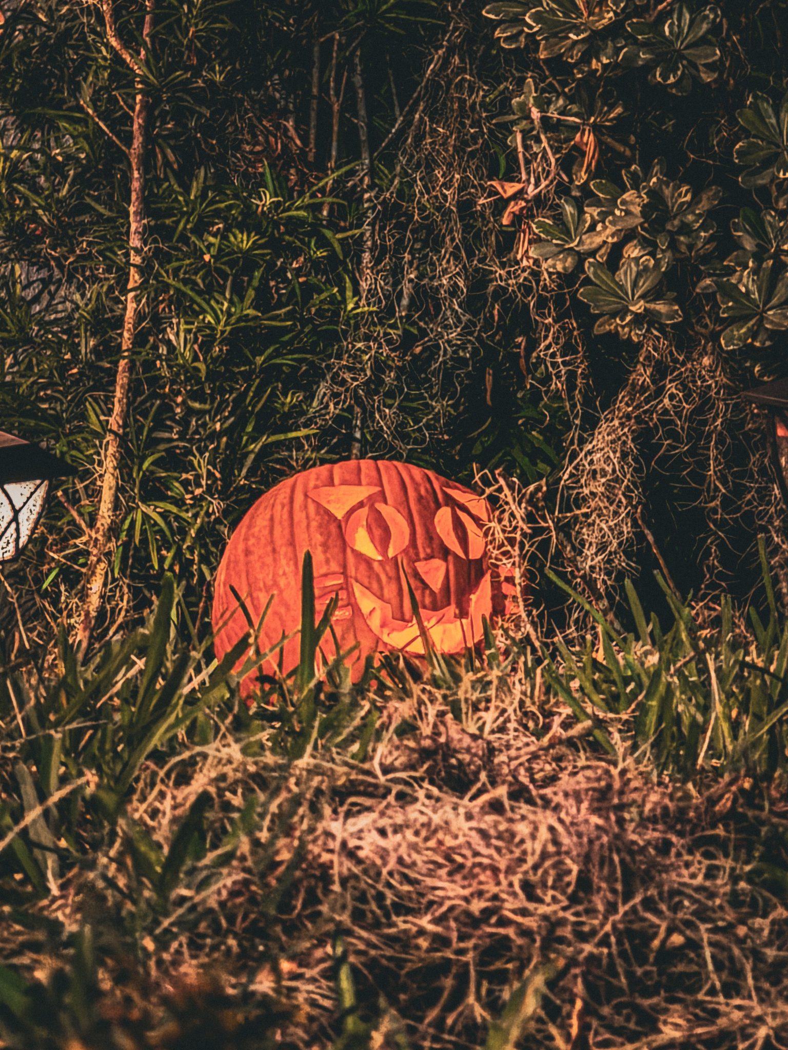 A carved pumpkin with a spooky face sits in a dark, eerie forest setting, perfect for Halloween.