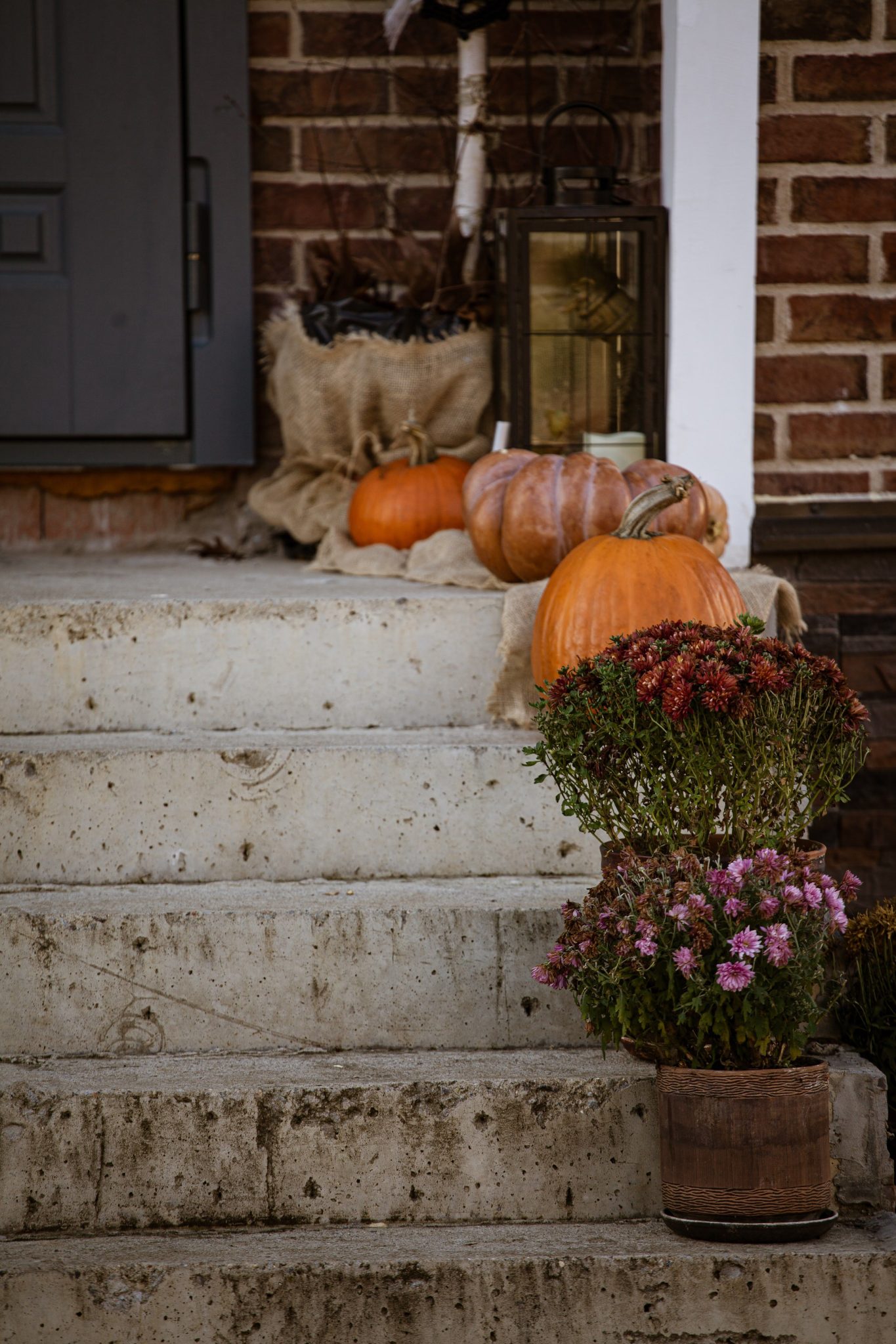 A charming fall-themed entryway featuring pumpkins and flowers on concrete steps.