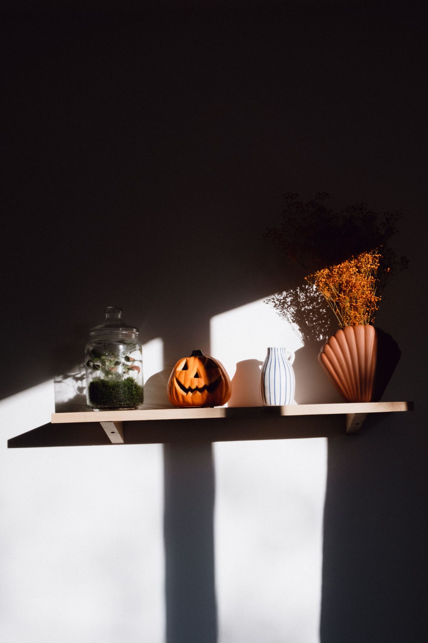 A creative arrangement on a shelf featuring a Halloween pumpkin, plants, and vases, highlighted by sunlight.