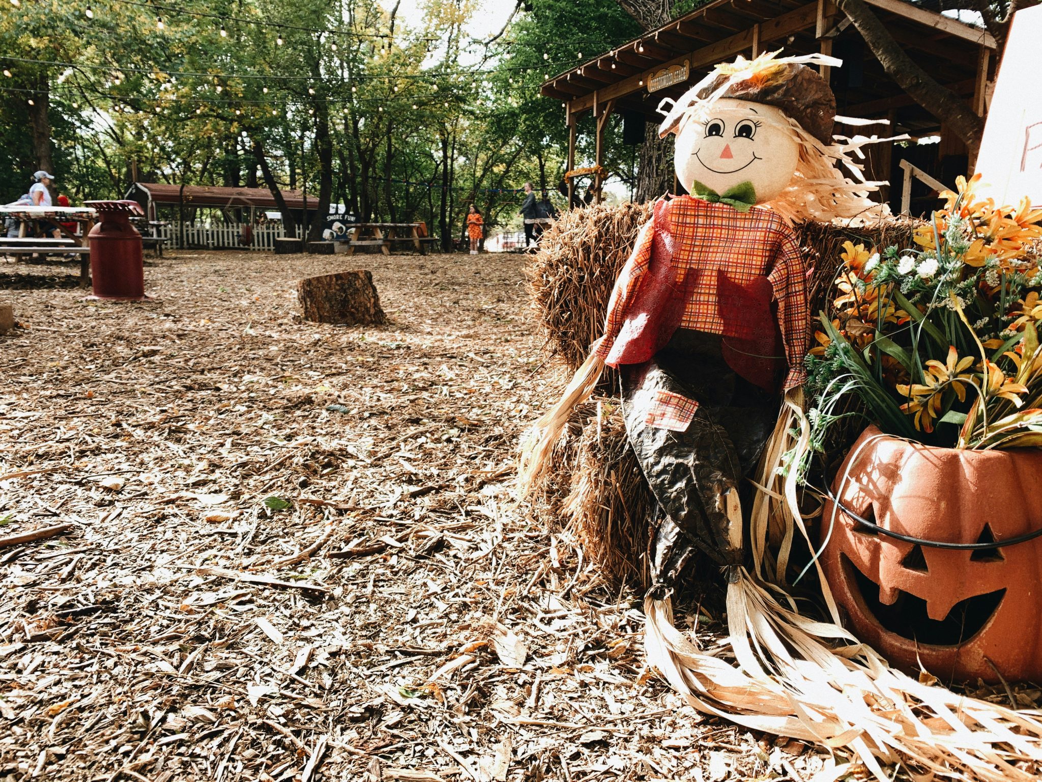A crisp fall day at the pumpkin patch.
