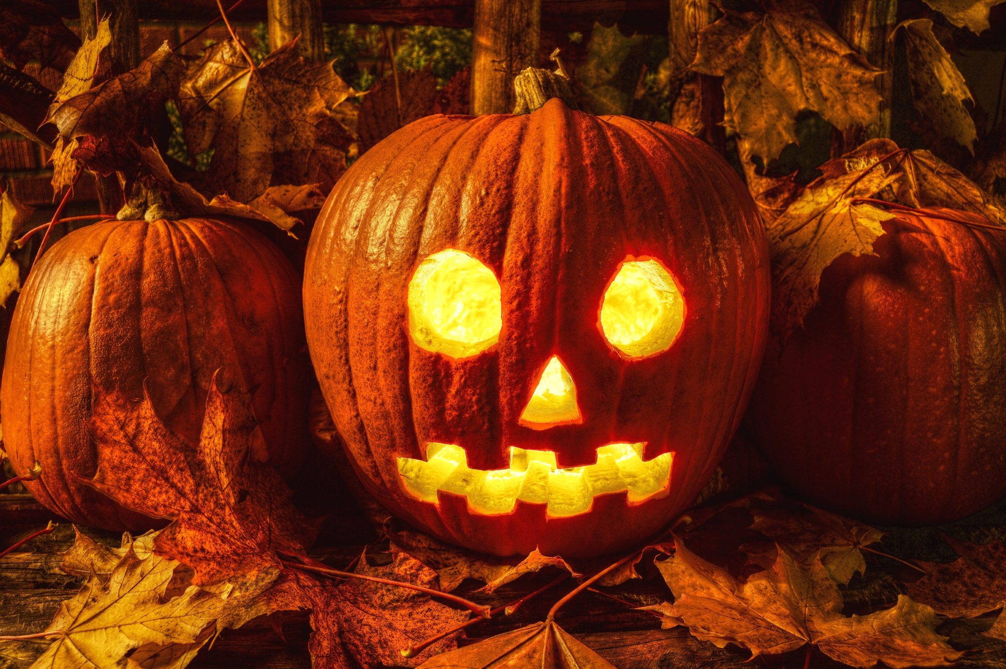 A glowing jack-o'-lantern surrounded by autumn leaves, perfect for Halloween themes.