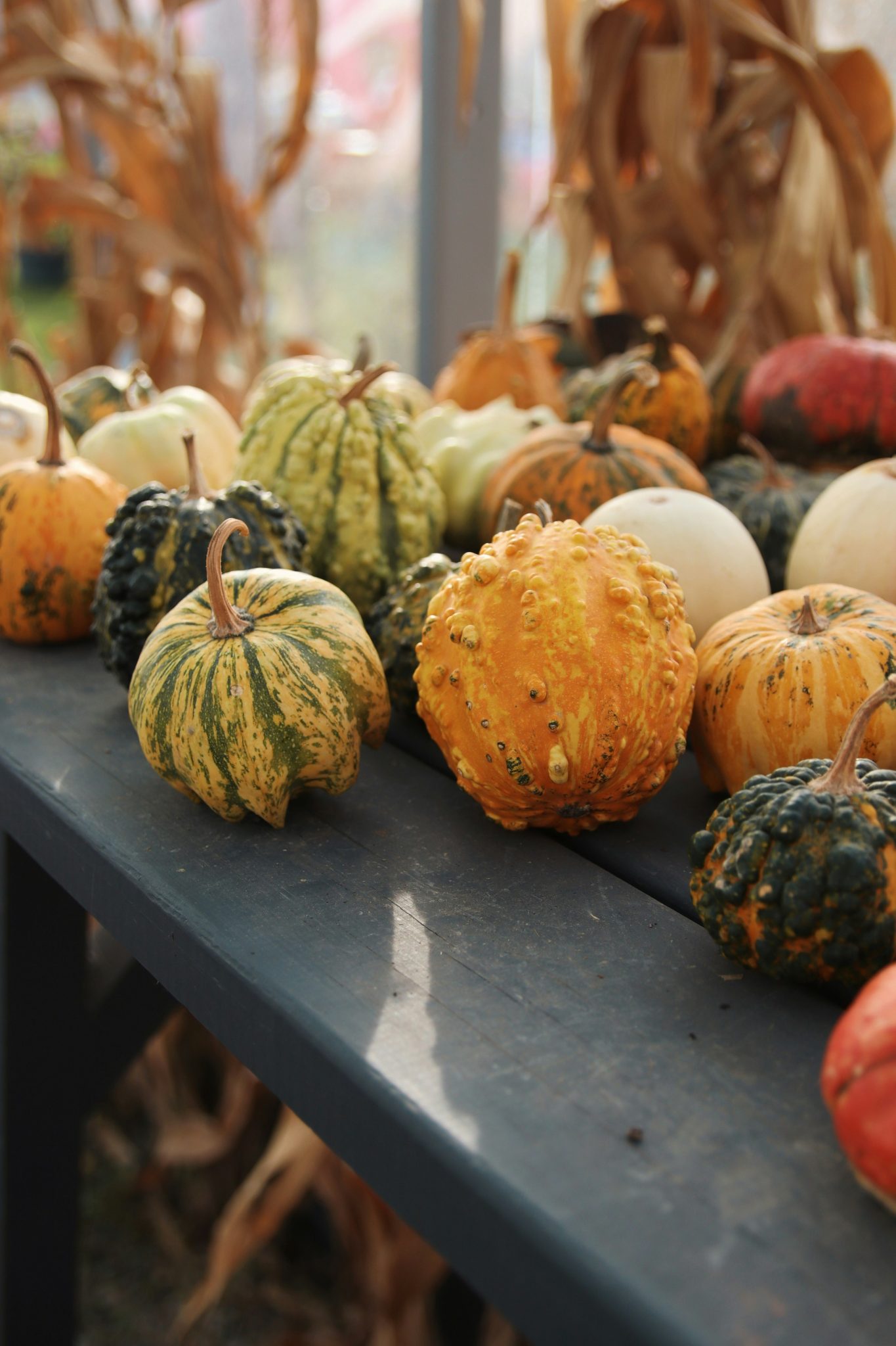 a group of pumpkins on a table