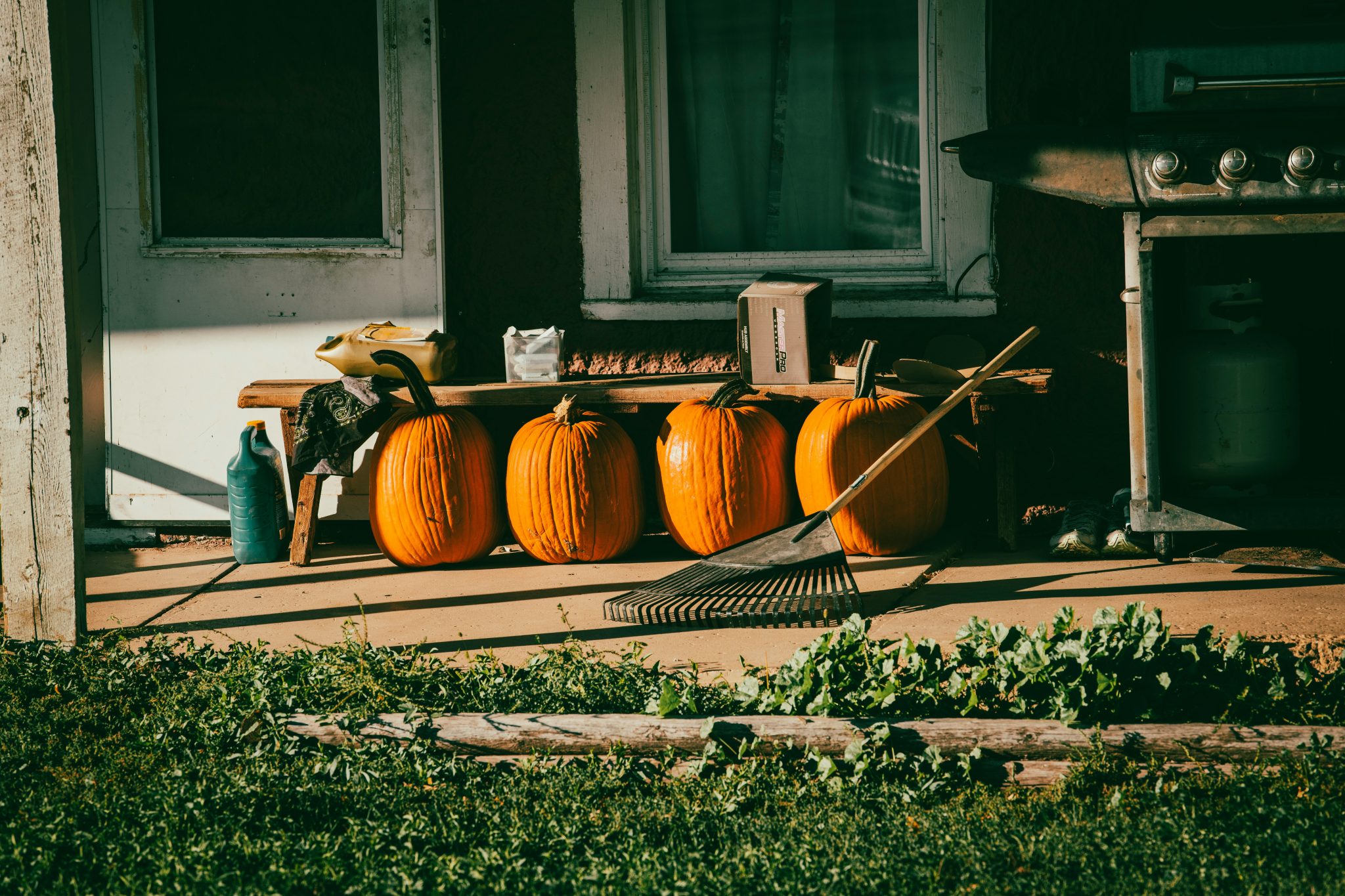 a group of pumpkins outside a house