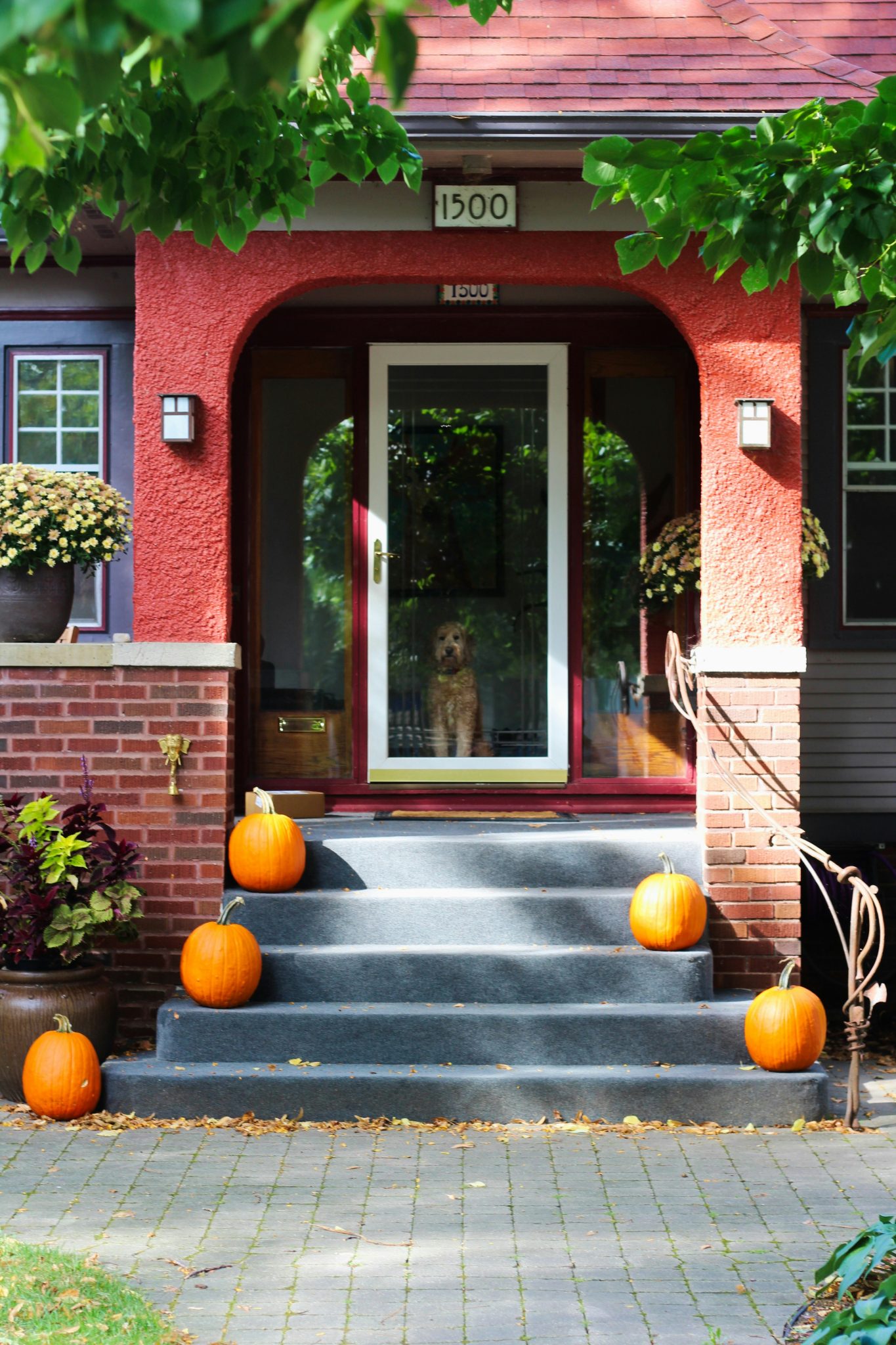 A photo of a red brick house with a welcoming porch decorated for autumn. The porch is adorned with three pumpkins, a dog stands inside the close door, and there are potted plants on either side of th