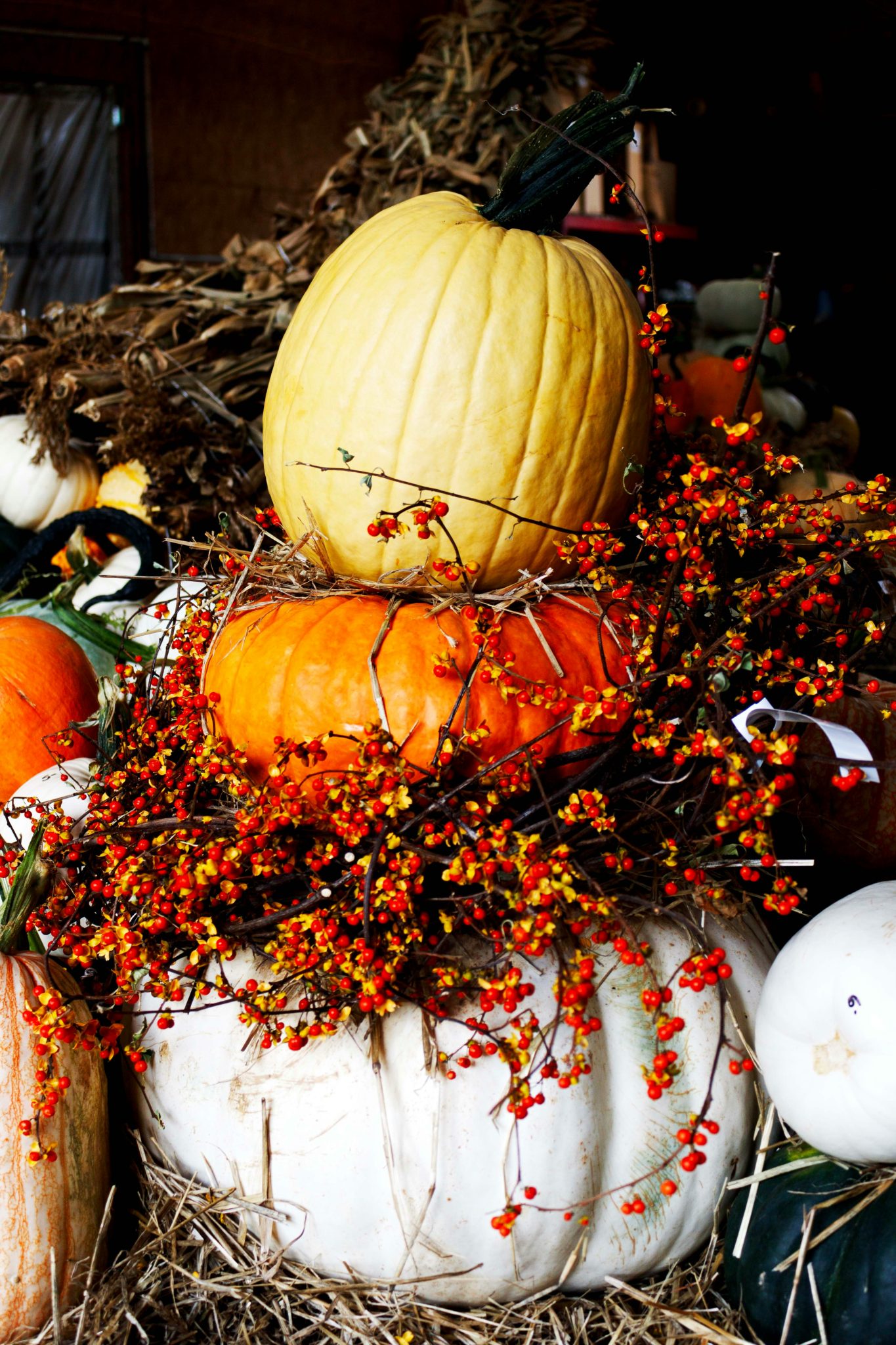 a pile of pumpkins sitting on top of a pile of hay