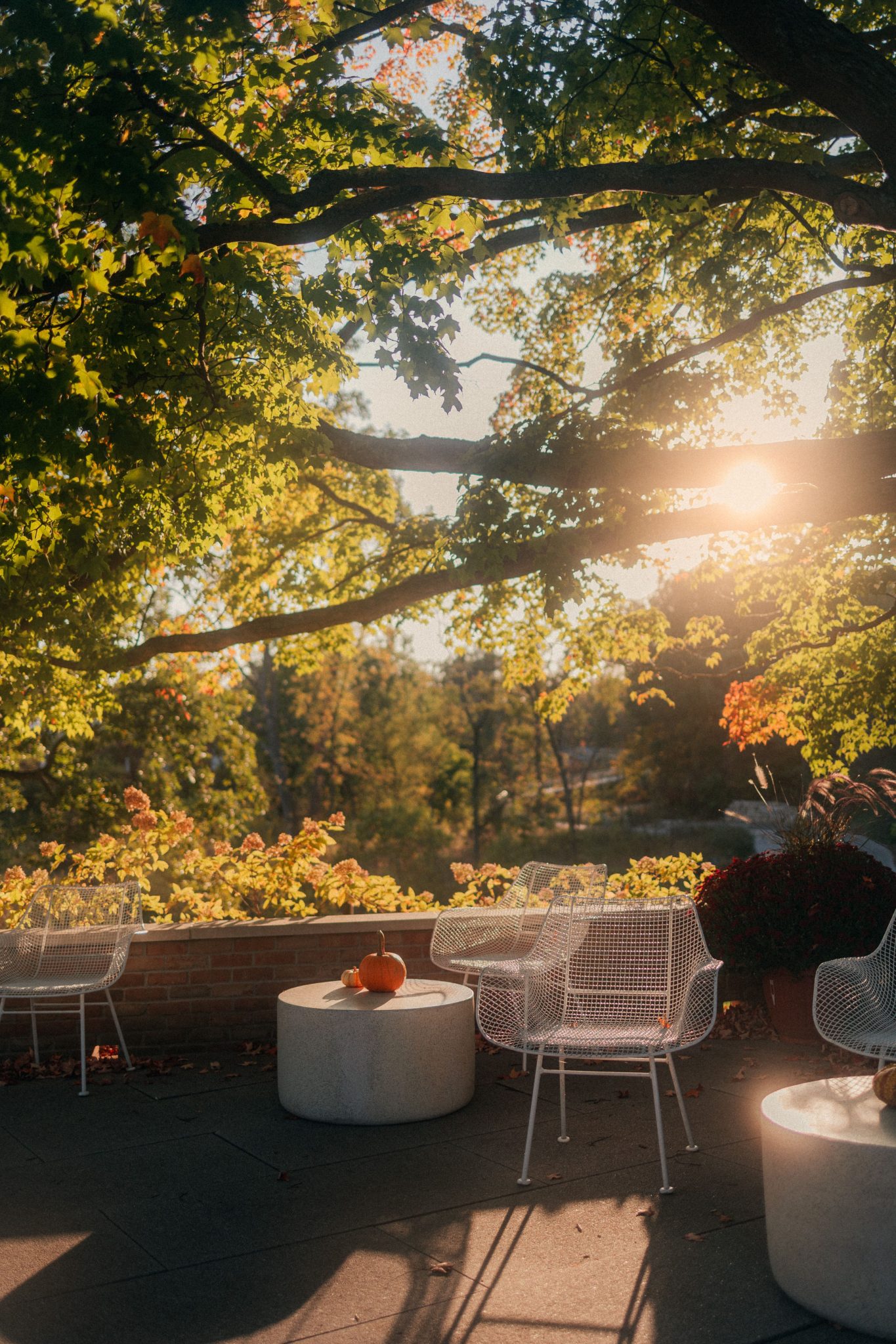 A serene patio setting with white chairs, bathed in warm autumn sunlight.