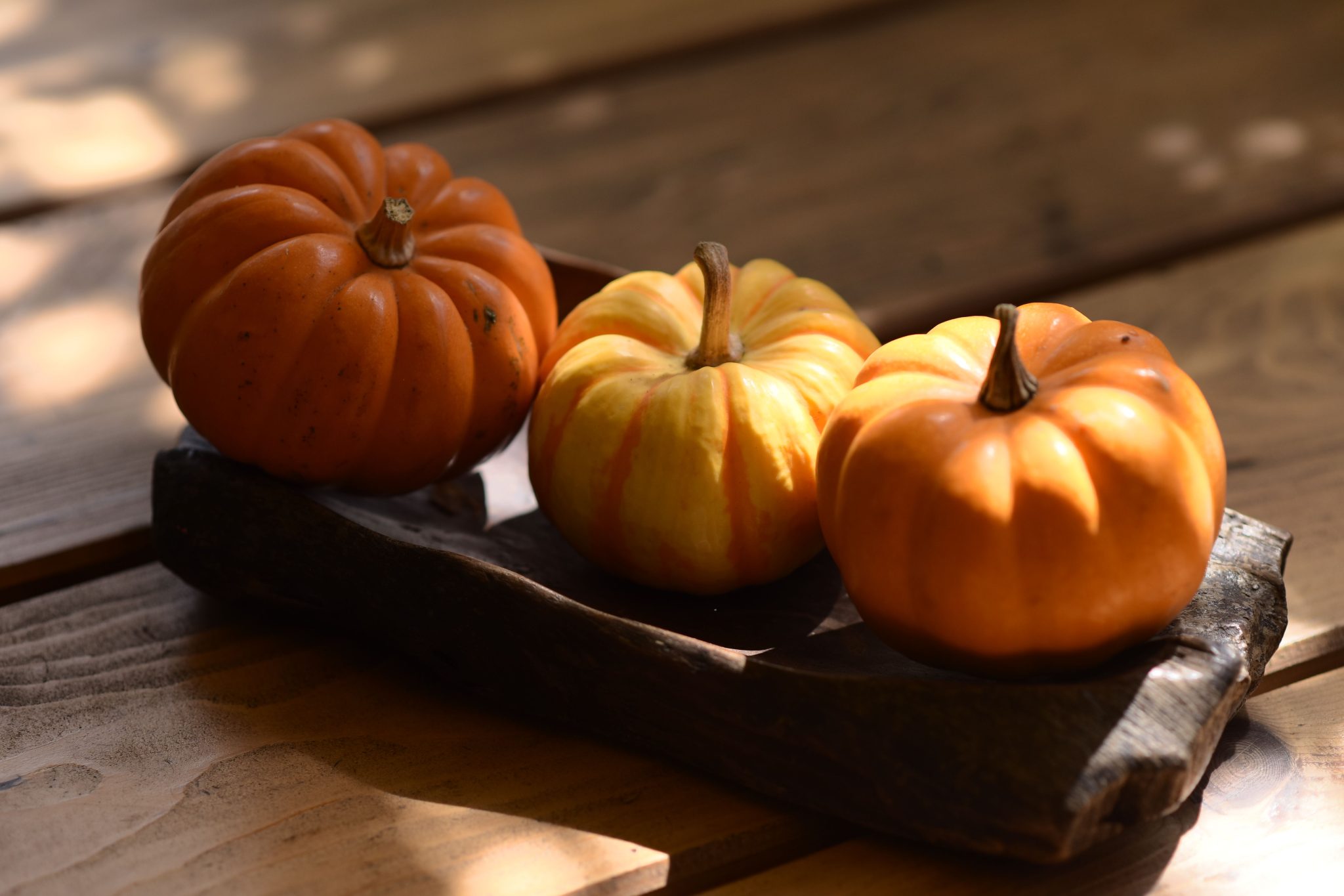 A trio of decorative pumpkins arranged on a rustic wooden tray, bathed in natural sunlight.
