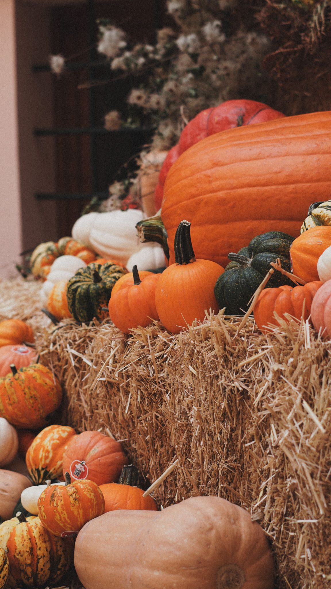 A vibrant display of pumpkins and gourds on hay bales in a rustic market setting.