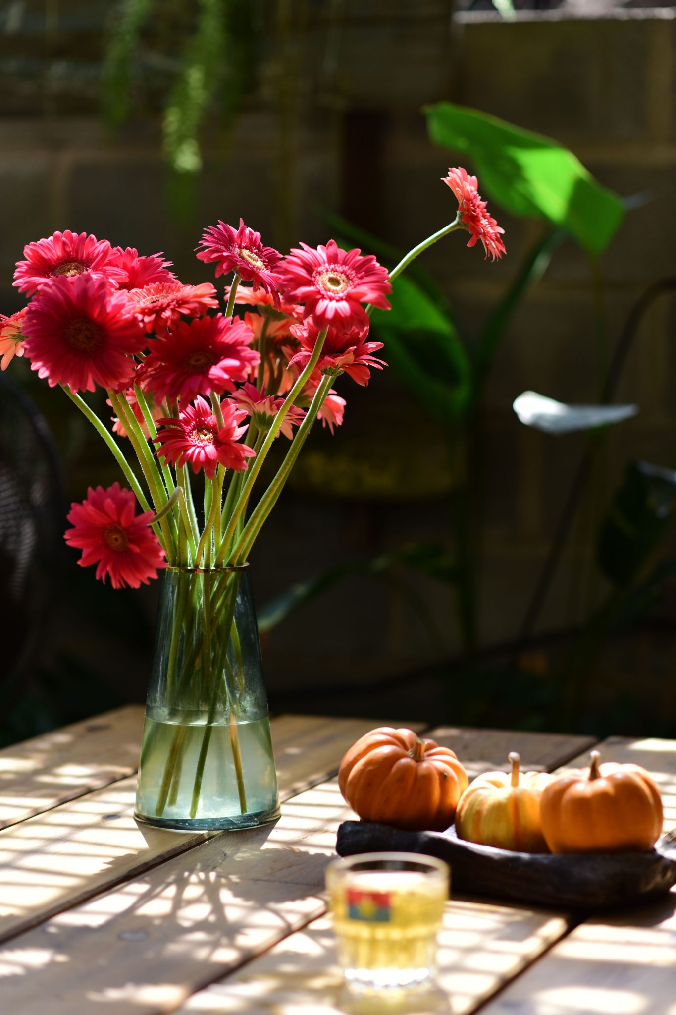 A vibrant display of red flowers and pumpkins in a cozy outdoor setting.