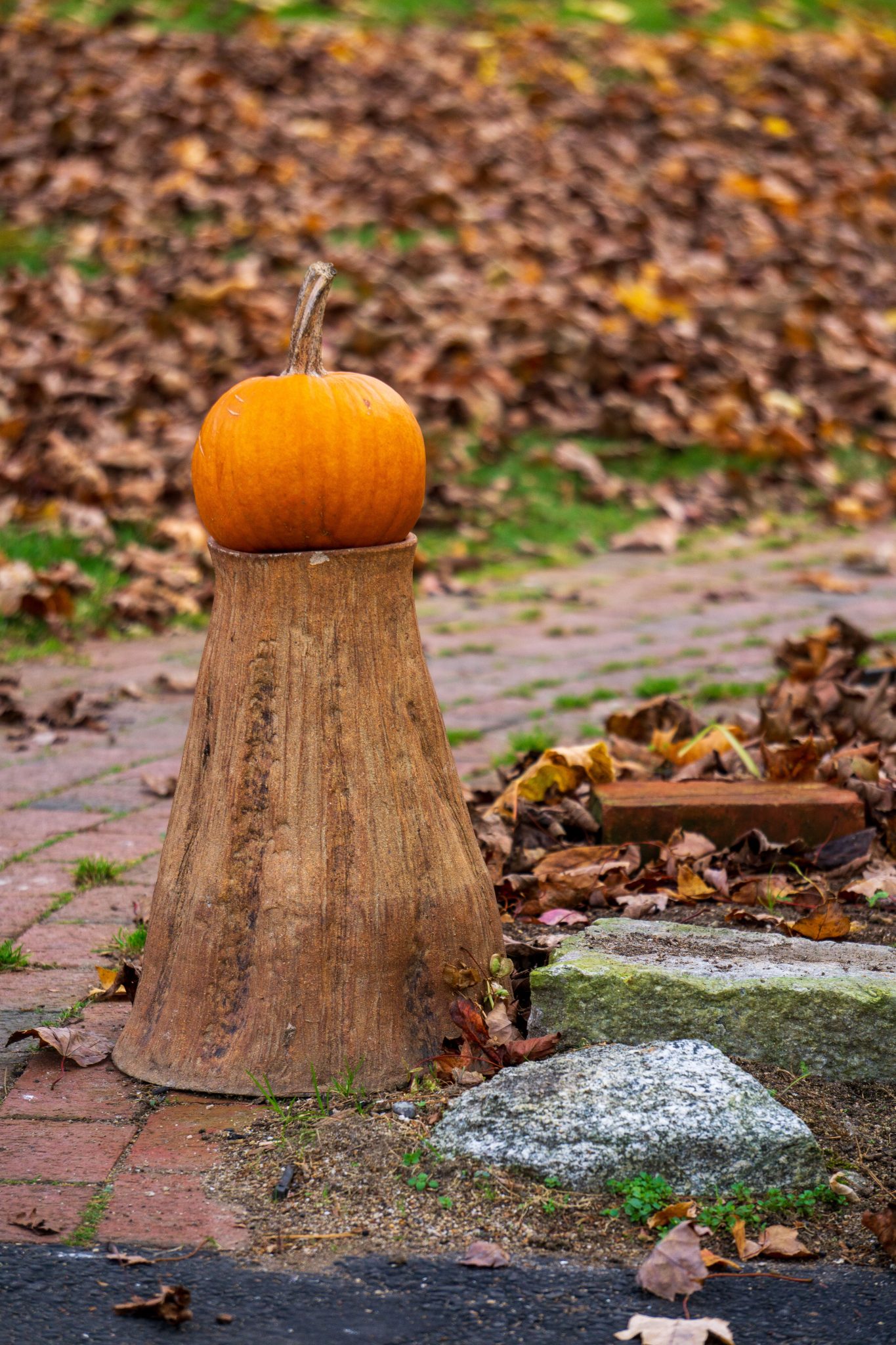 A vibrant orange pumpkin sits atop a wooden stump surrounded by fallen autumn leaves.