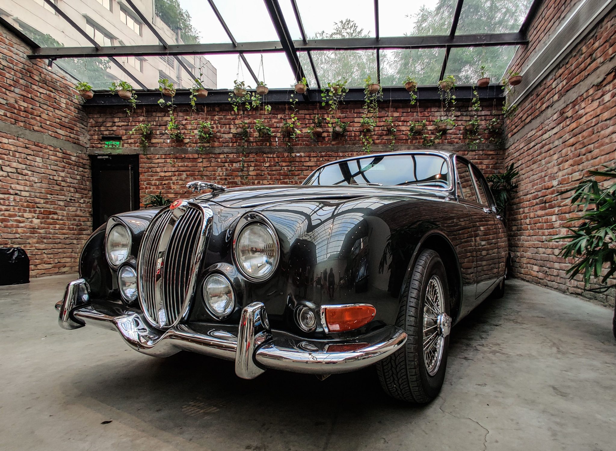 A vintage black car parked indoors with brick walls and potted plants above.