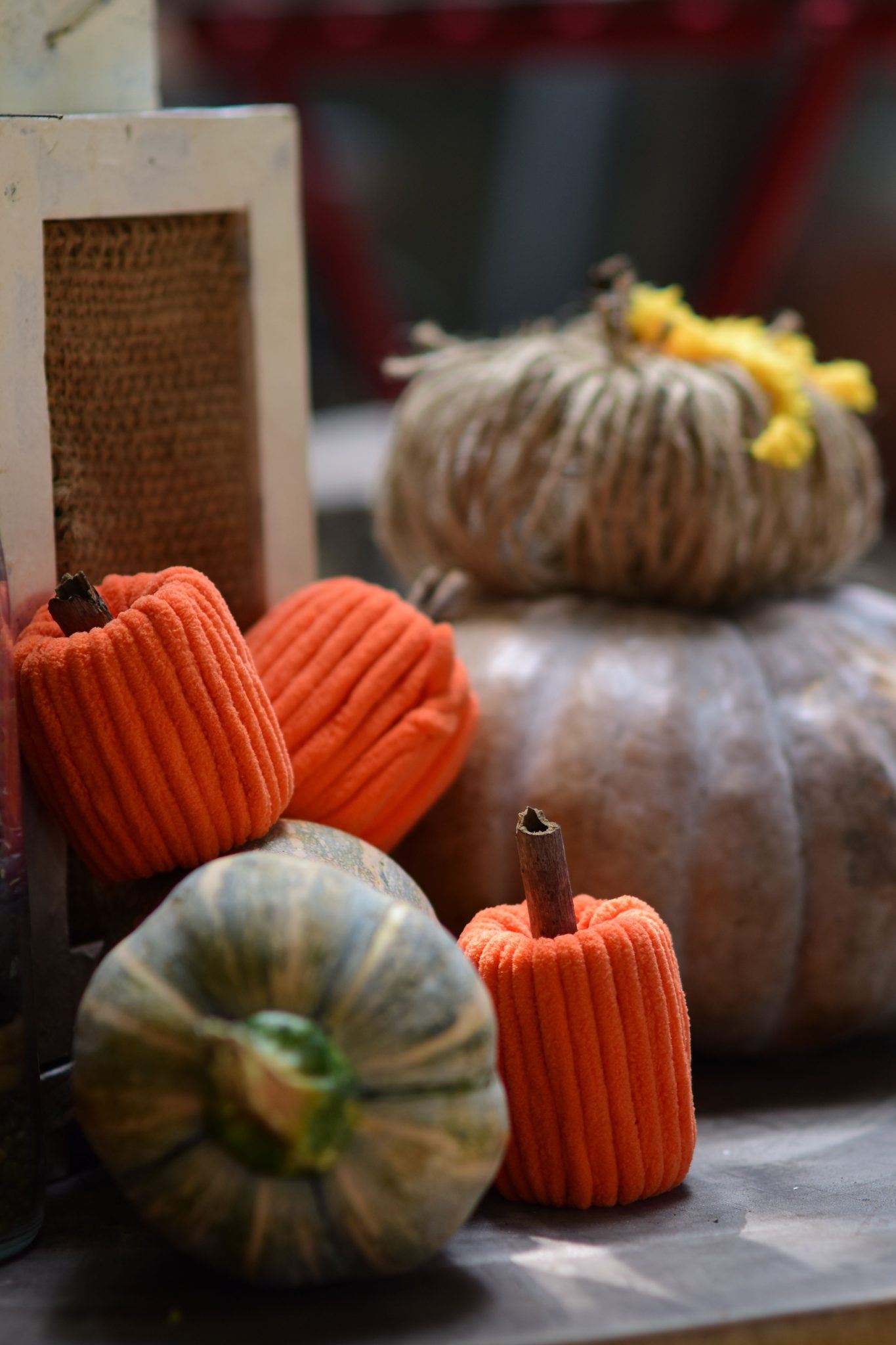 Aesthetic fall decor with pumpkins, perfect for seasonal ambiance.