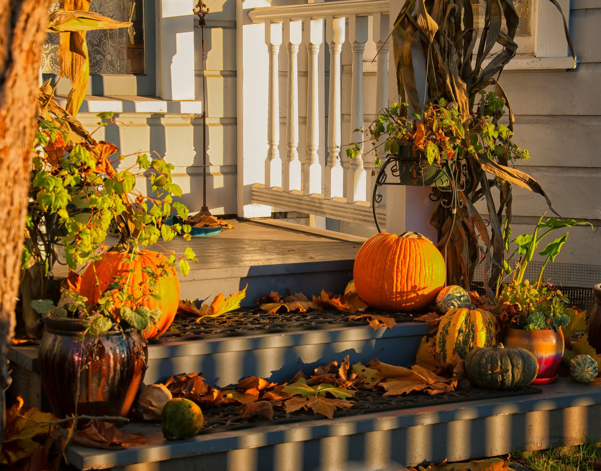 Autumn Bounty at Home