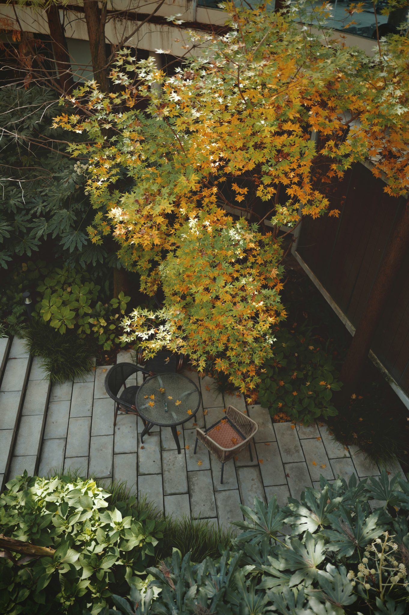 Autumn leaves fall on a patio with chairs and table.