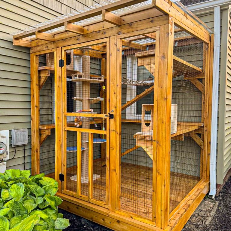 Build Plans Cat House Insulated Cat Shelter Diy House Plans Insulated Cat Shelter Diy Cat House