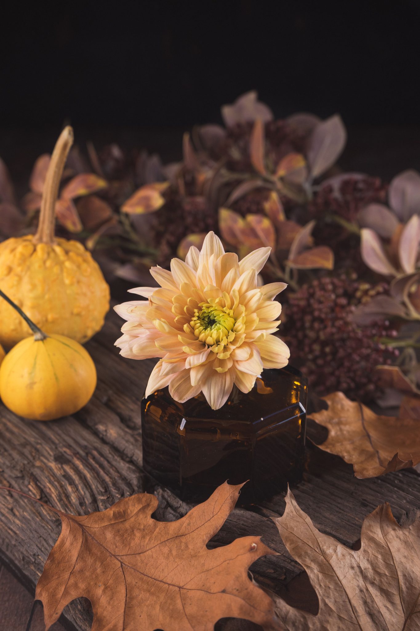 Charming fall still life featuring pumpkins, dried leaves, and a yellow flower.