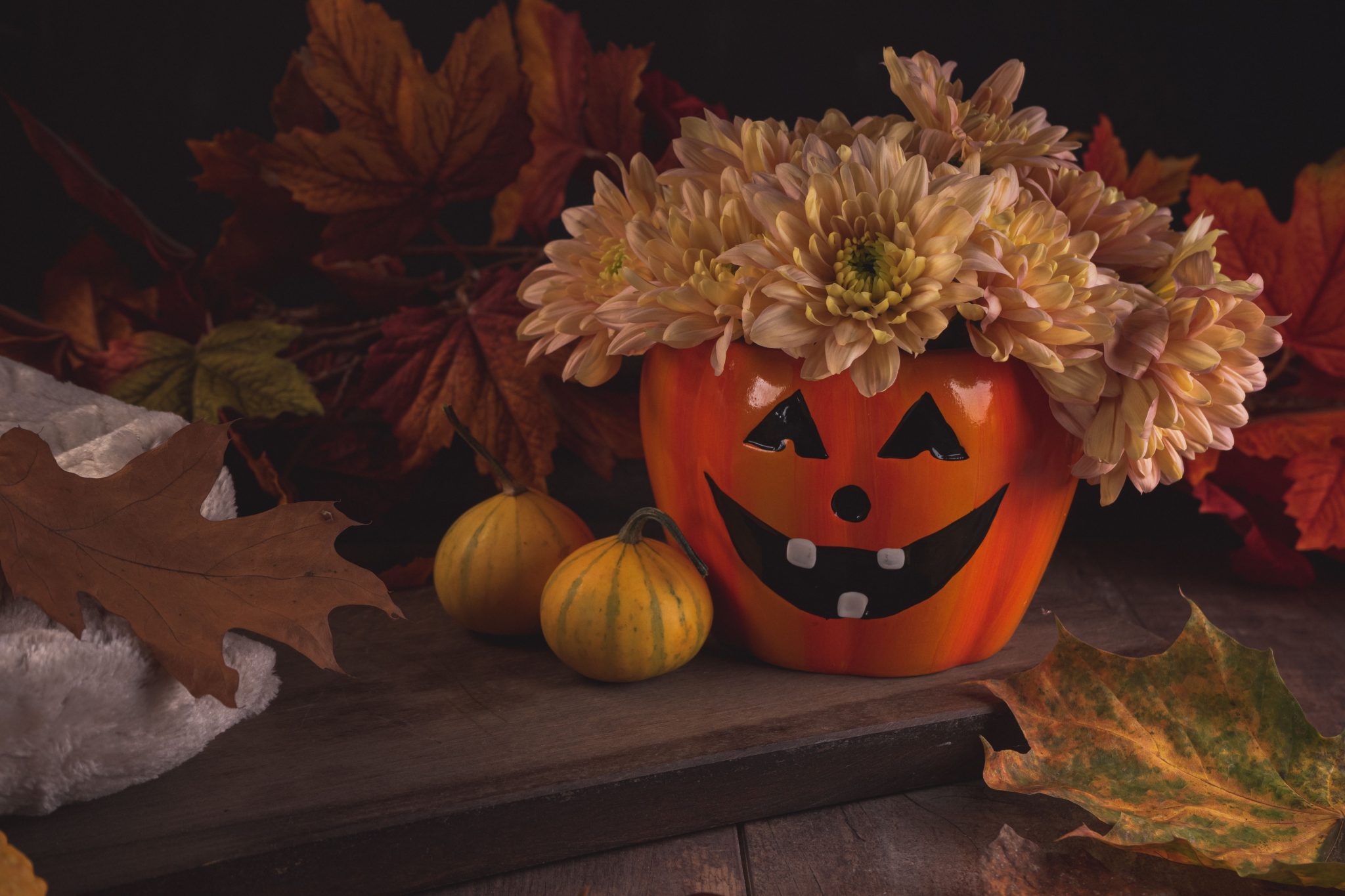 Charming Halloween display featuring a floral jack-o'-lantern and small pumpkins surrounded by autumn leaves.