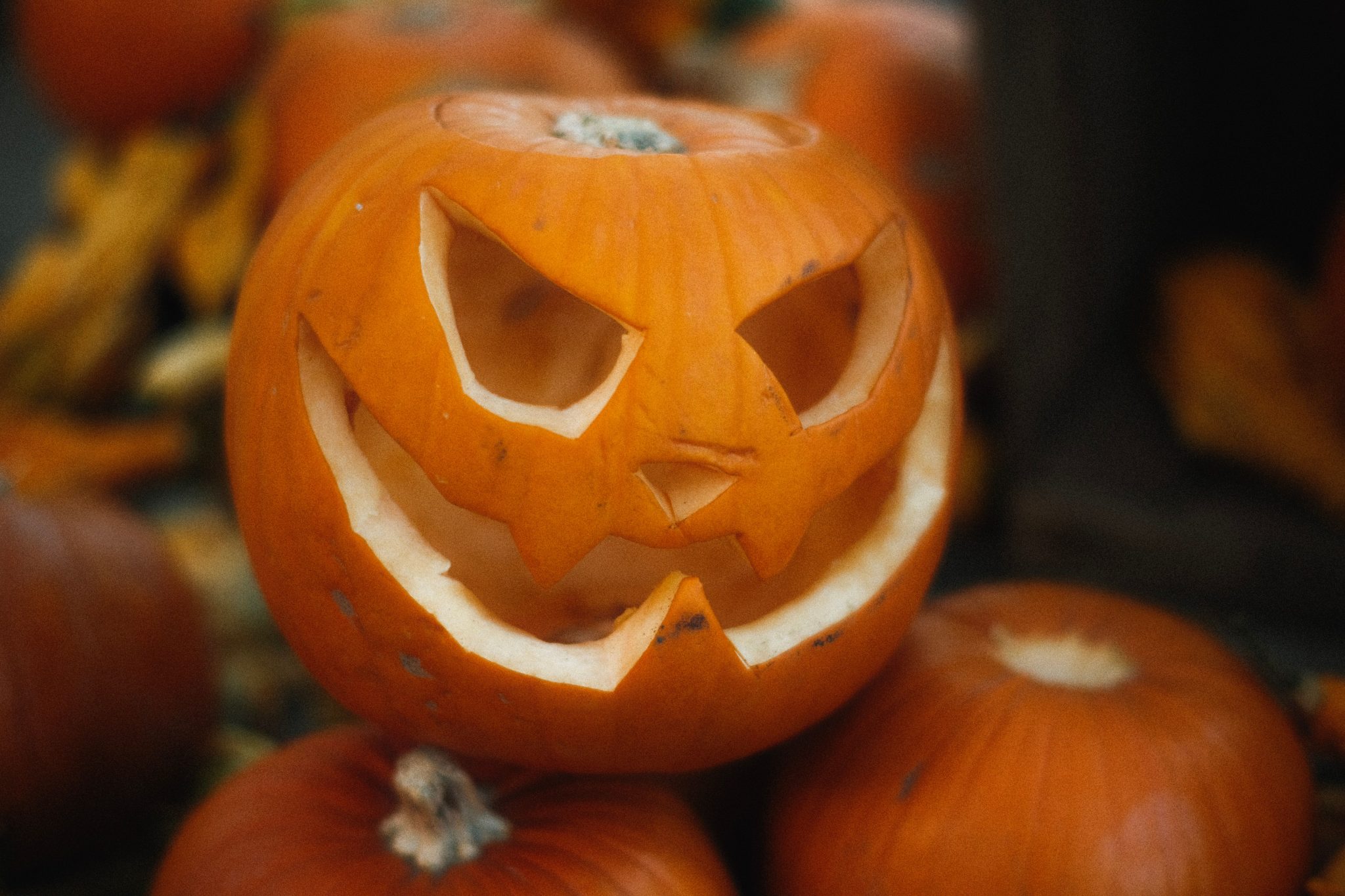 Close-up of a carved jack-o'-lantern surrounded by pumpkins, perfect for Halloween decor.