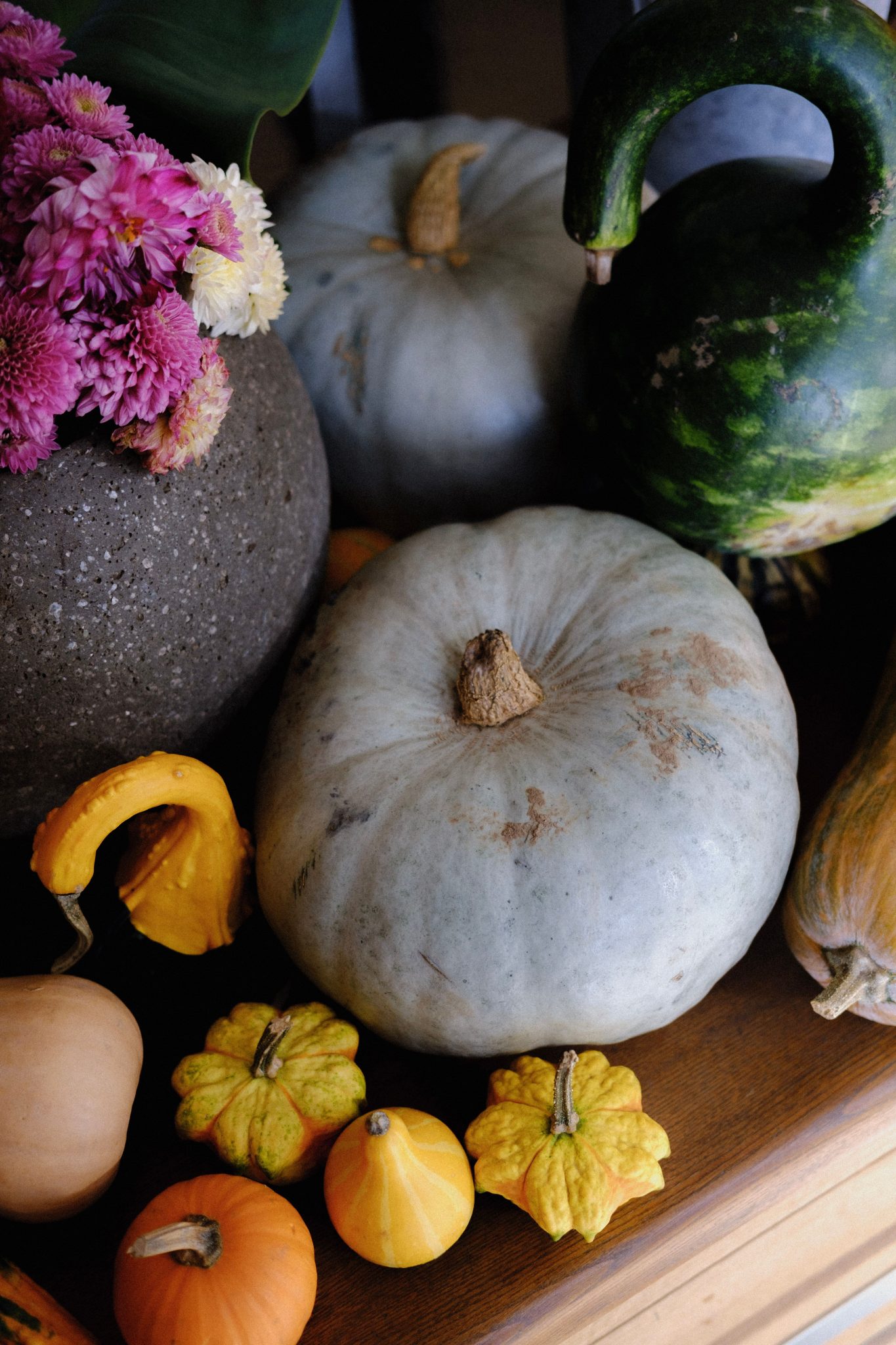 Colorful autumn display featuring ornamental pumpkins and flowers, perfect for fall decor.