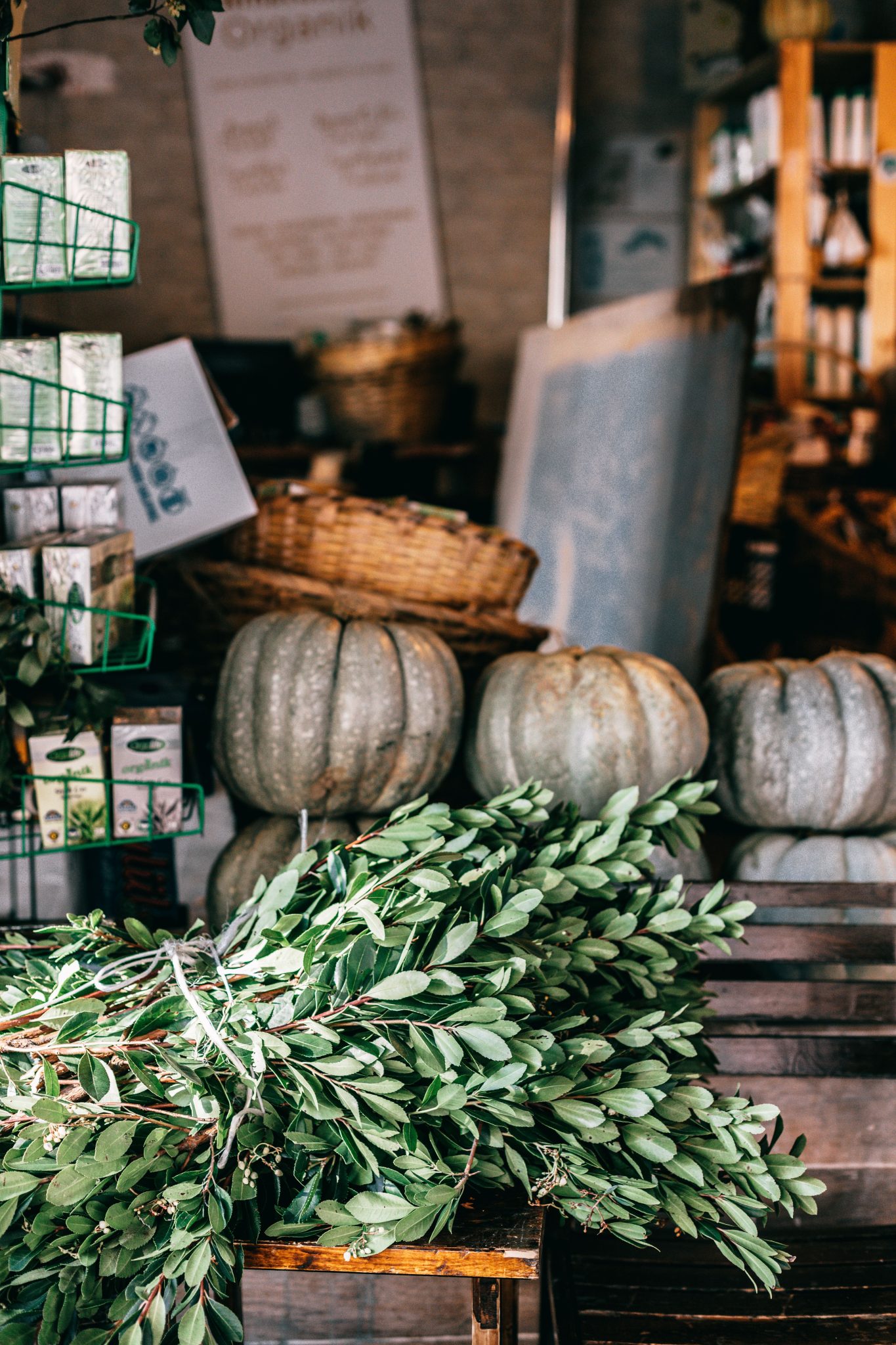 Cozy light coffee shop interior with wooden shelves and display racks decorated with pumpkins and green plant twigs